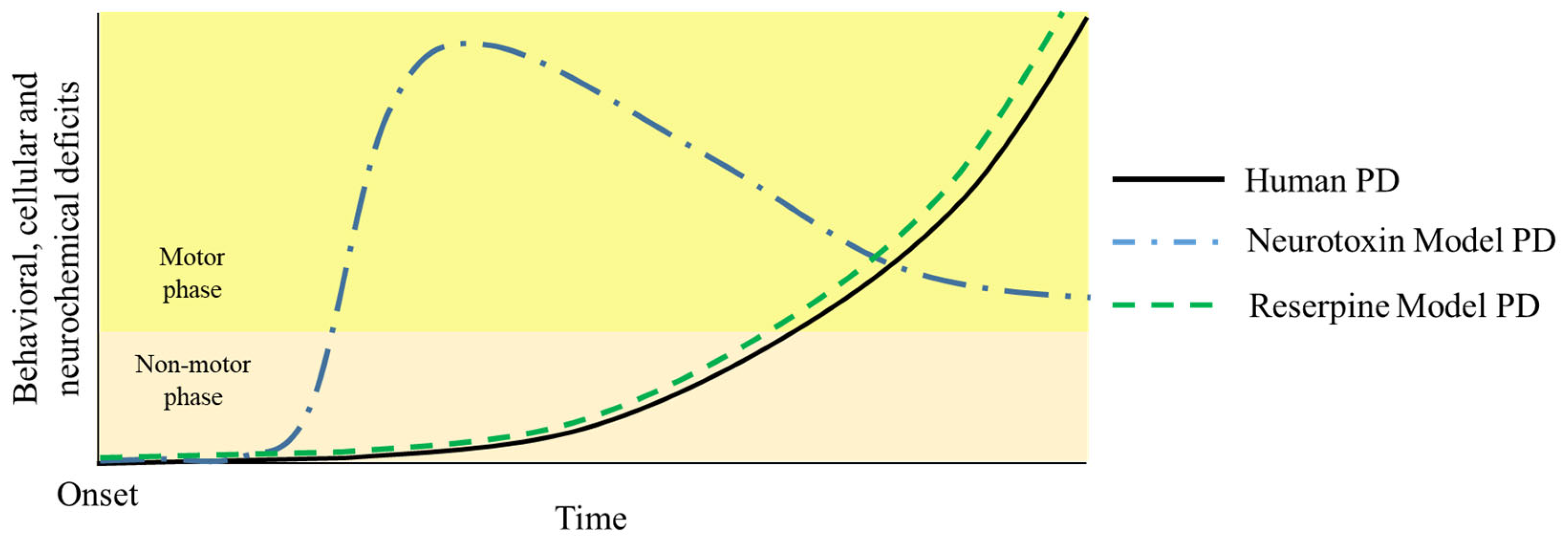 Brainsci 14 00156 g002