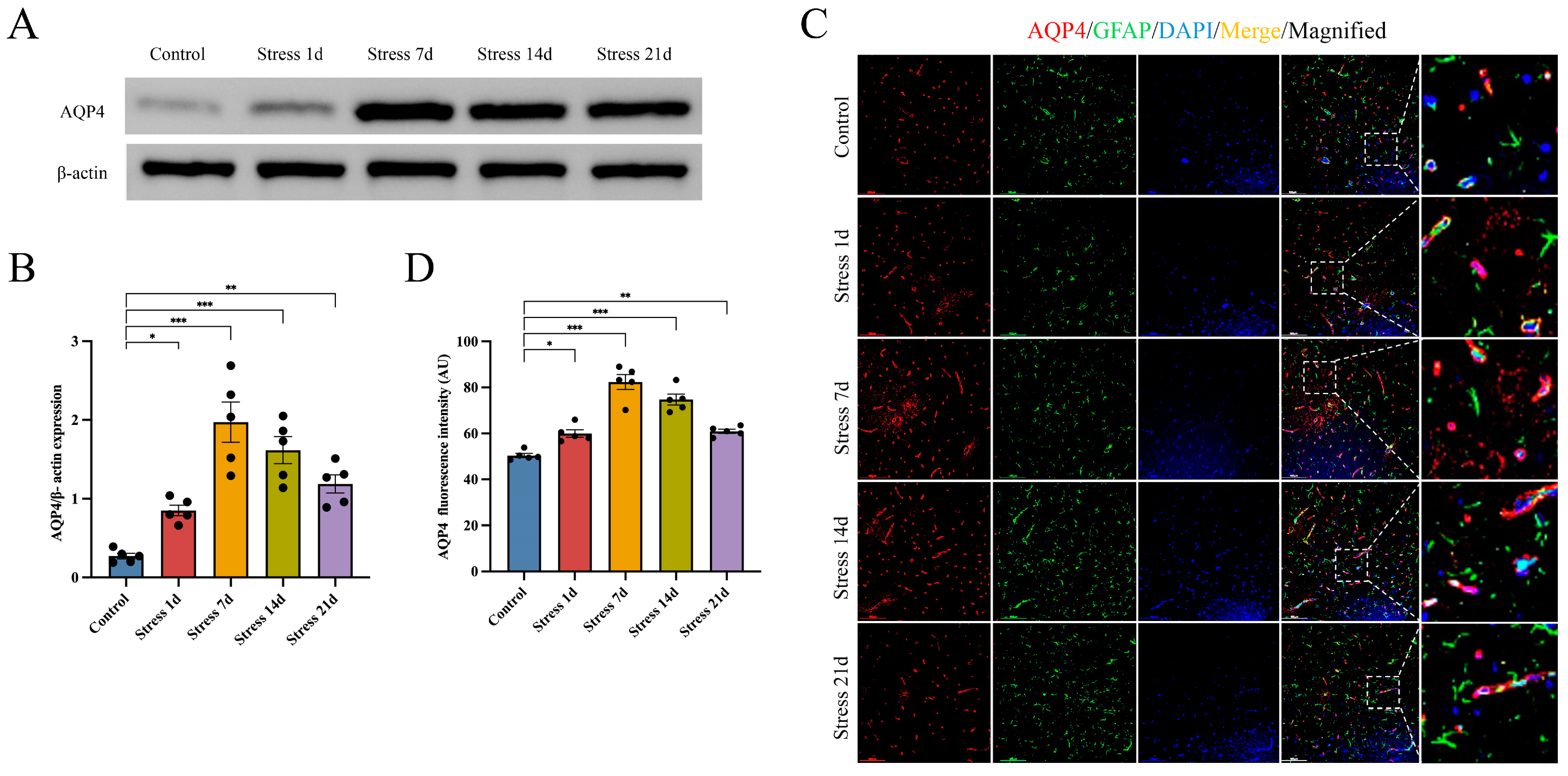 Brainsci 14 00161 g003