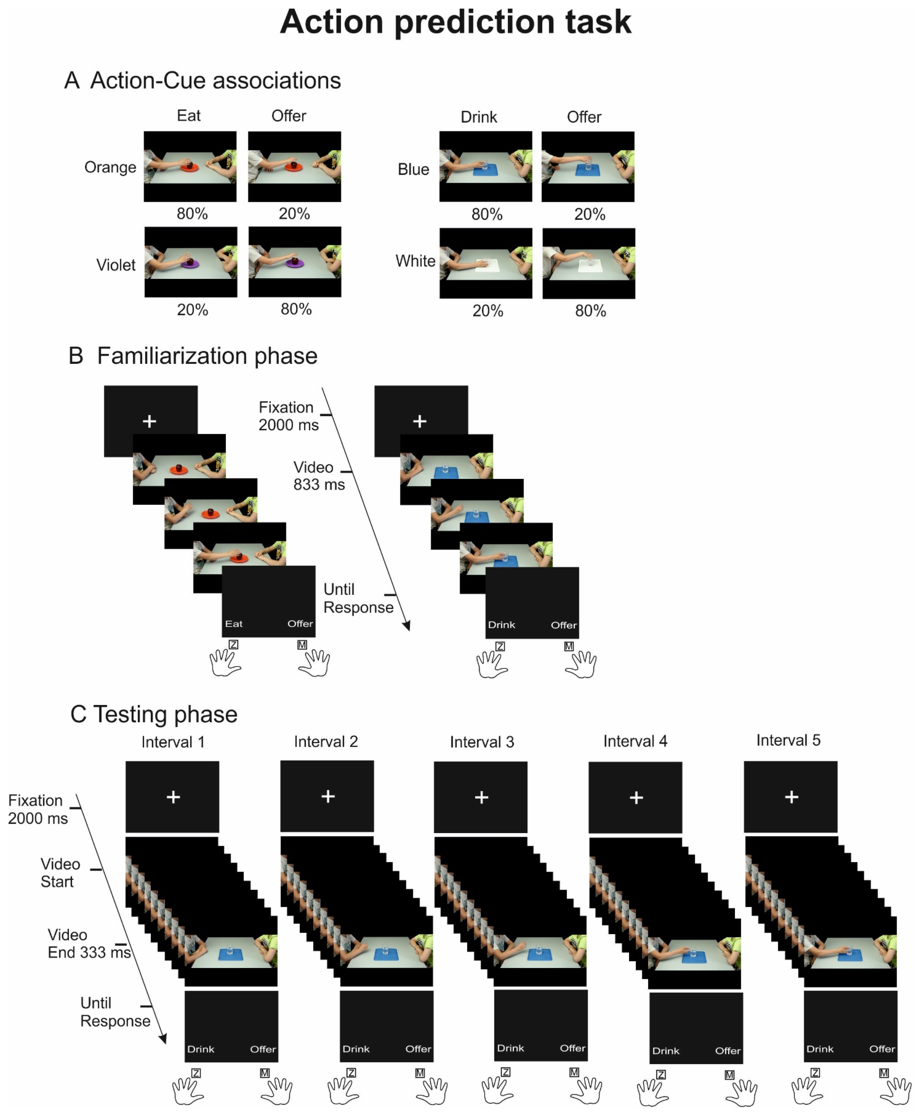 Brainsci 14 00164 g001