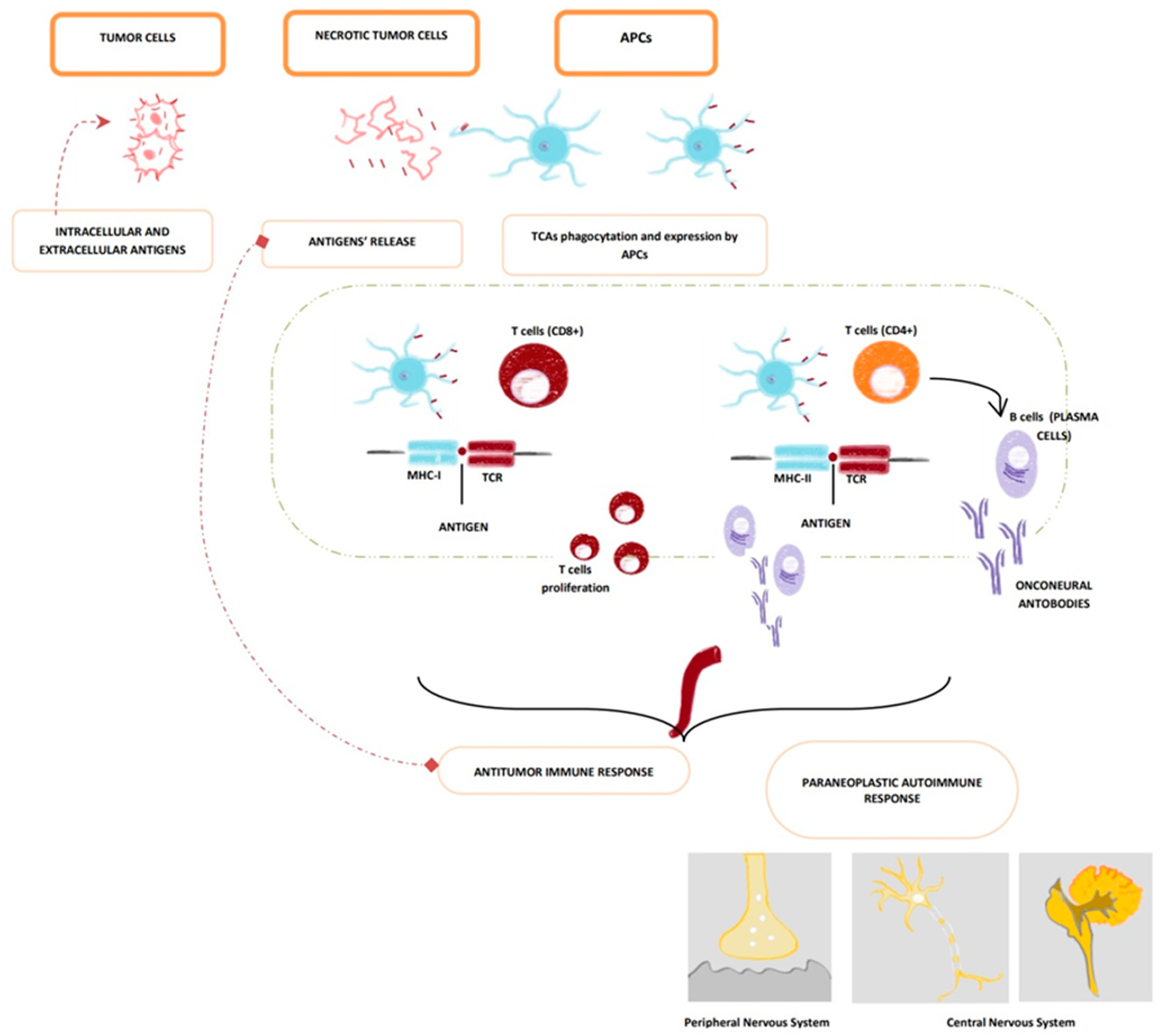 Brainsci 14 00176 g001 Brainsci 14 00176 g001