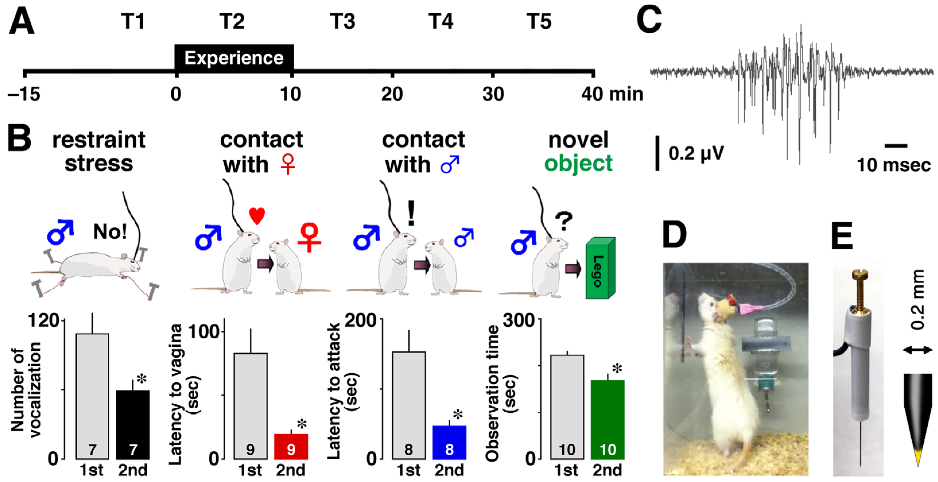 Brainsci 14 00177 g001