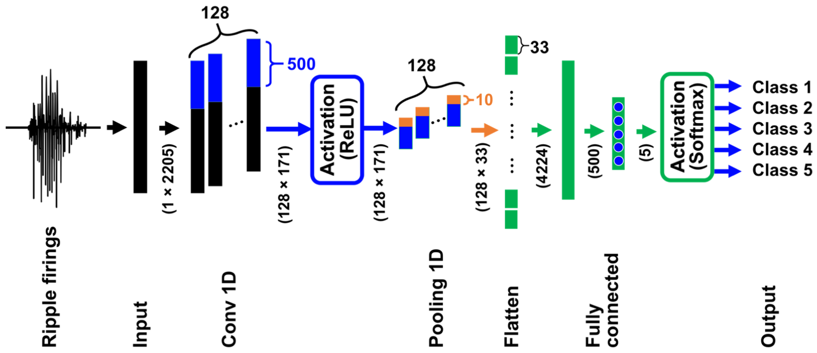 Brainsci 14 00177 g003
