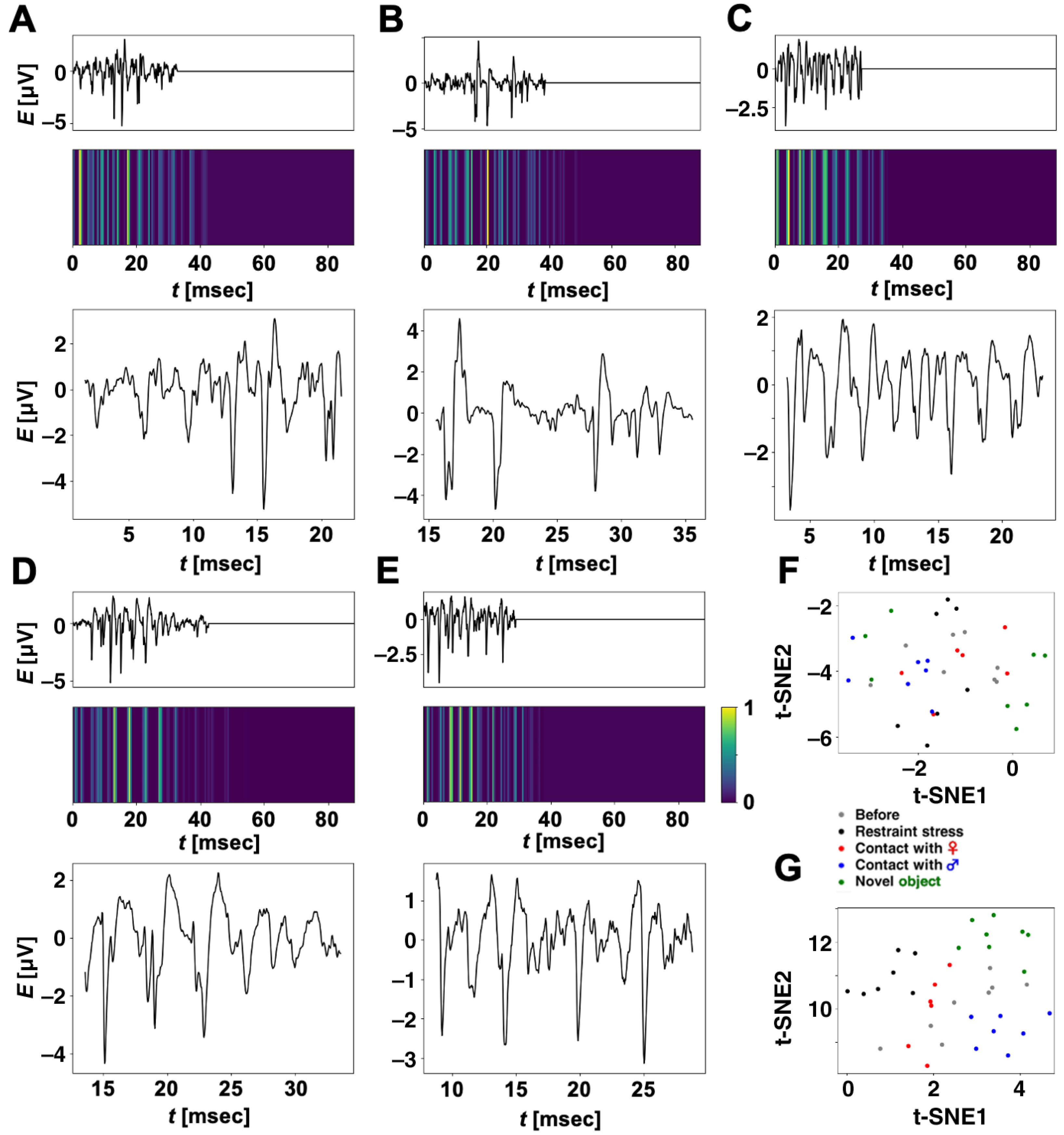 Brainsci 14 00177 g006