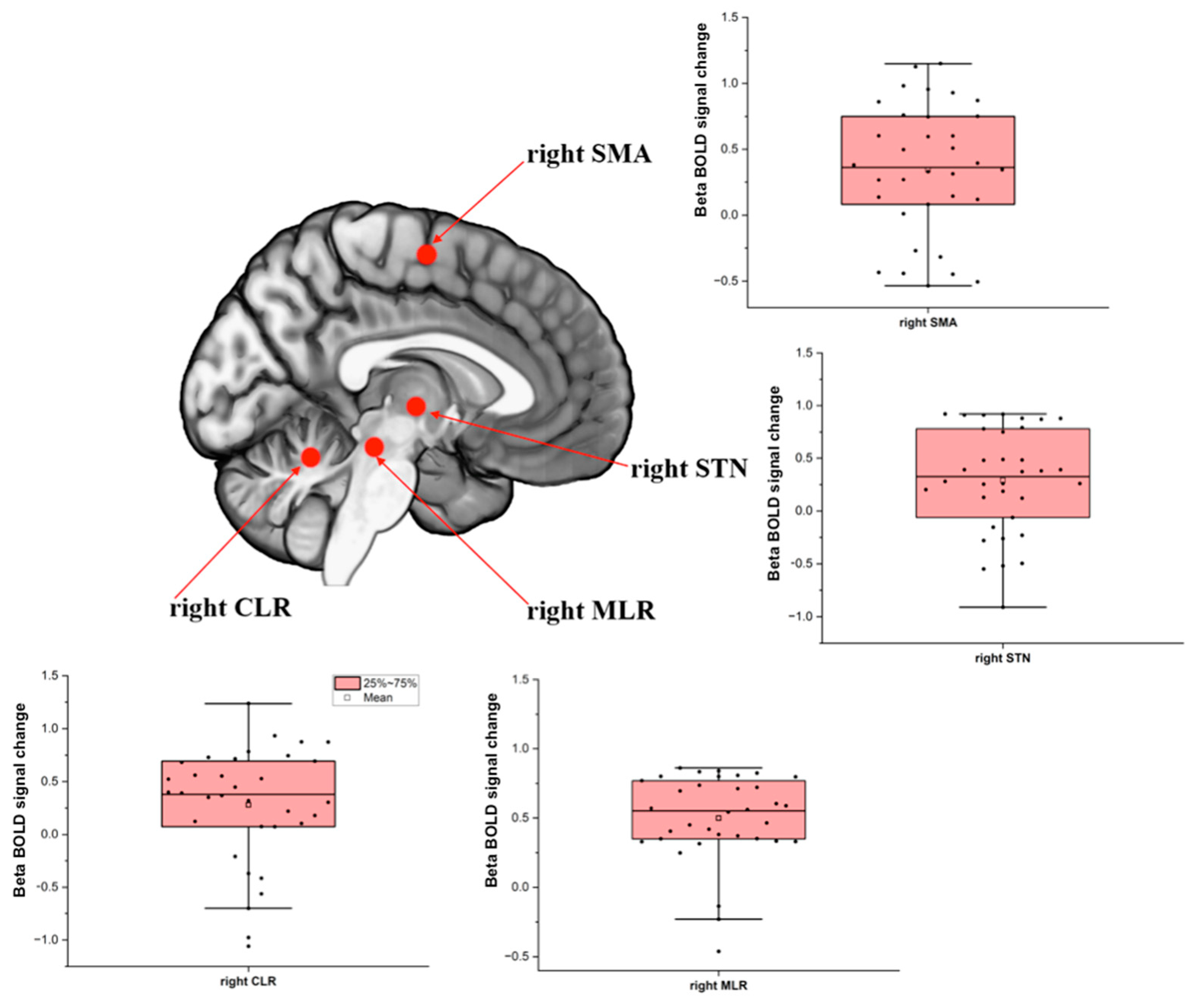 Brainsci 14 00178 g001 Brainsci 14 00178 g001