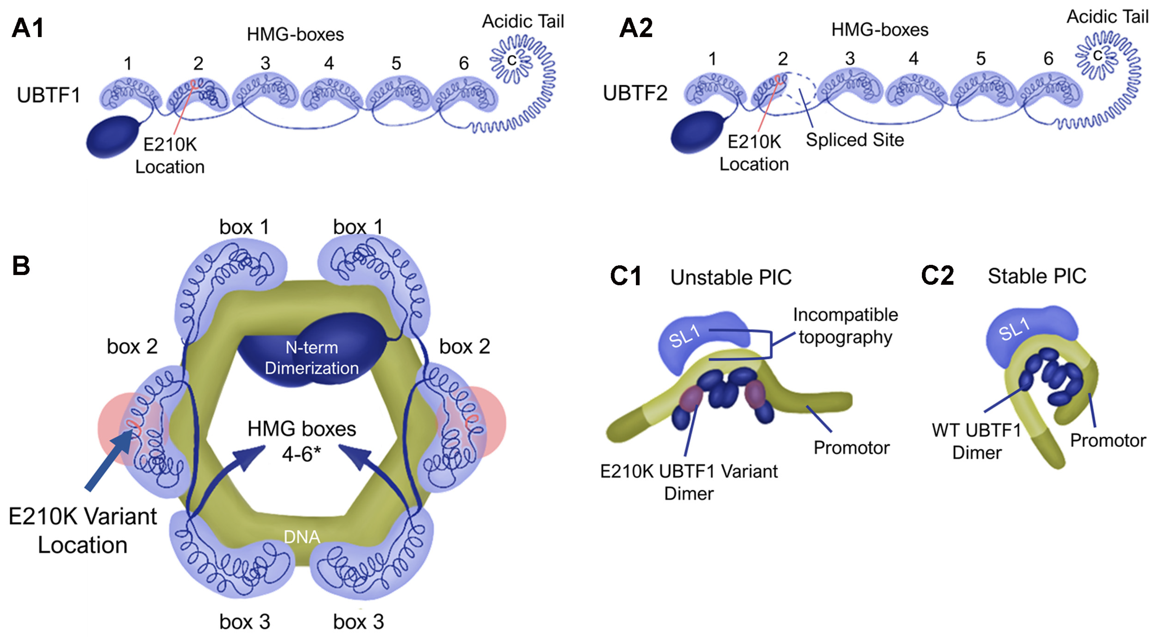 Brainsci 14 00179 g002