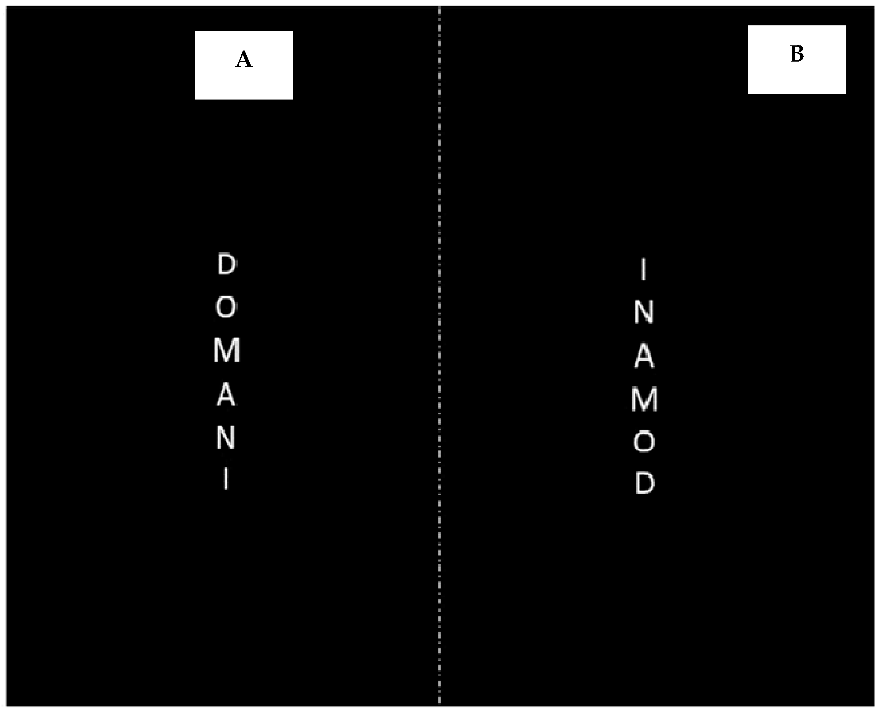 Brainsci 14 00184 g003 Brainsci 14 00184 g003