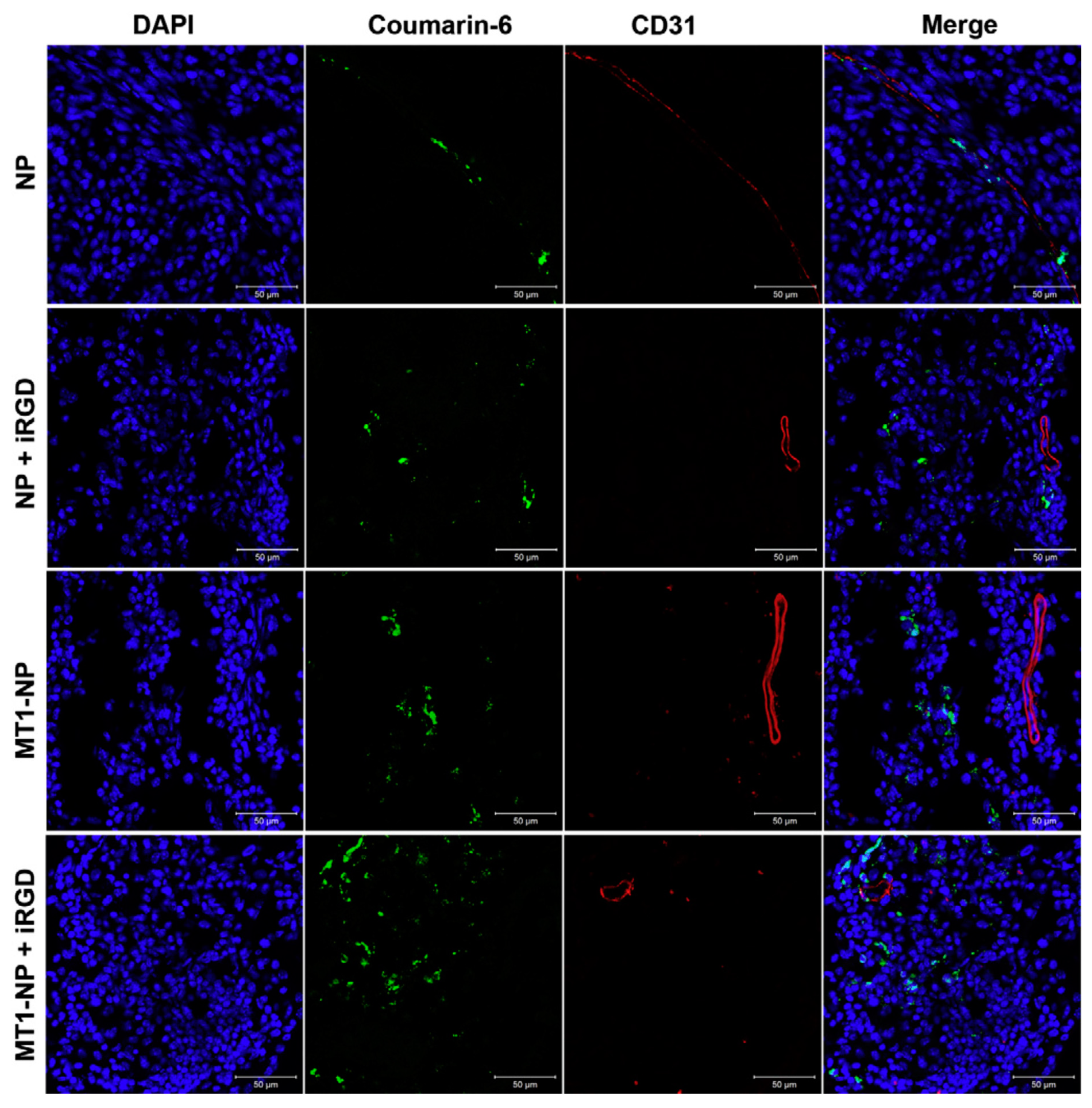 Brainsci 14 00185 g003