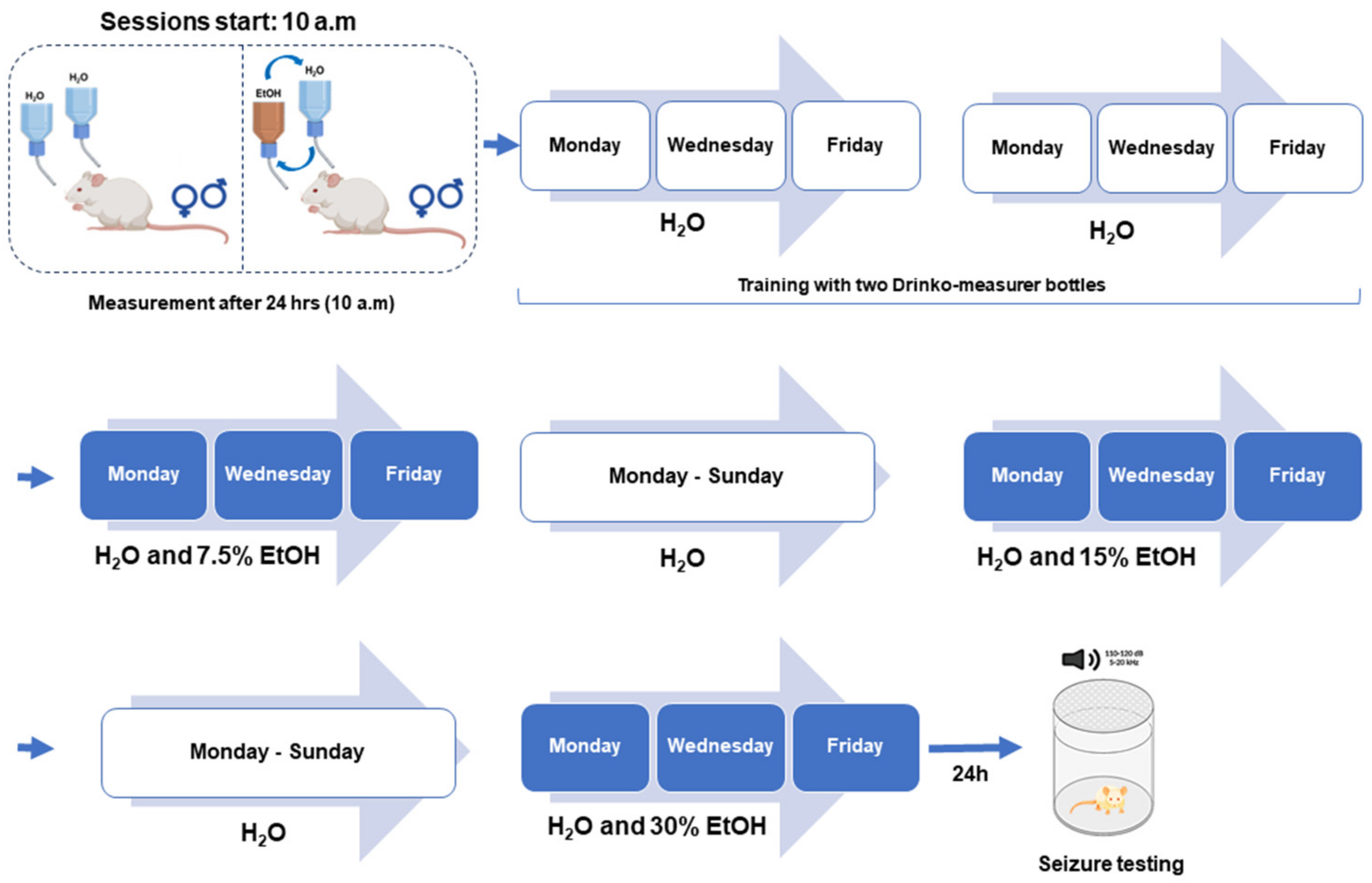 Brainsci 14 00188 g001