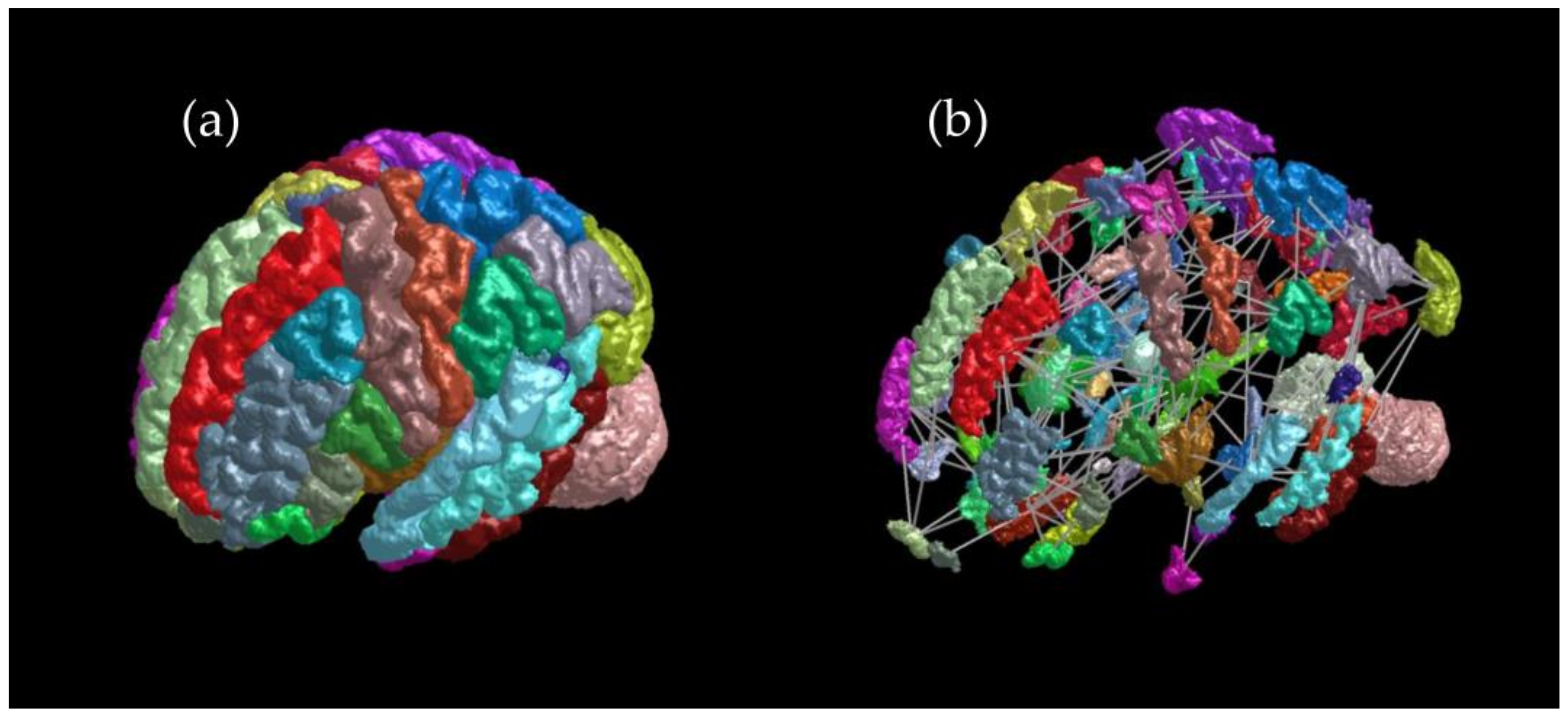 新 NS NOW Neurosurgical ReOperations Changes in Structural Neural Networks in the Recovery