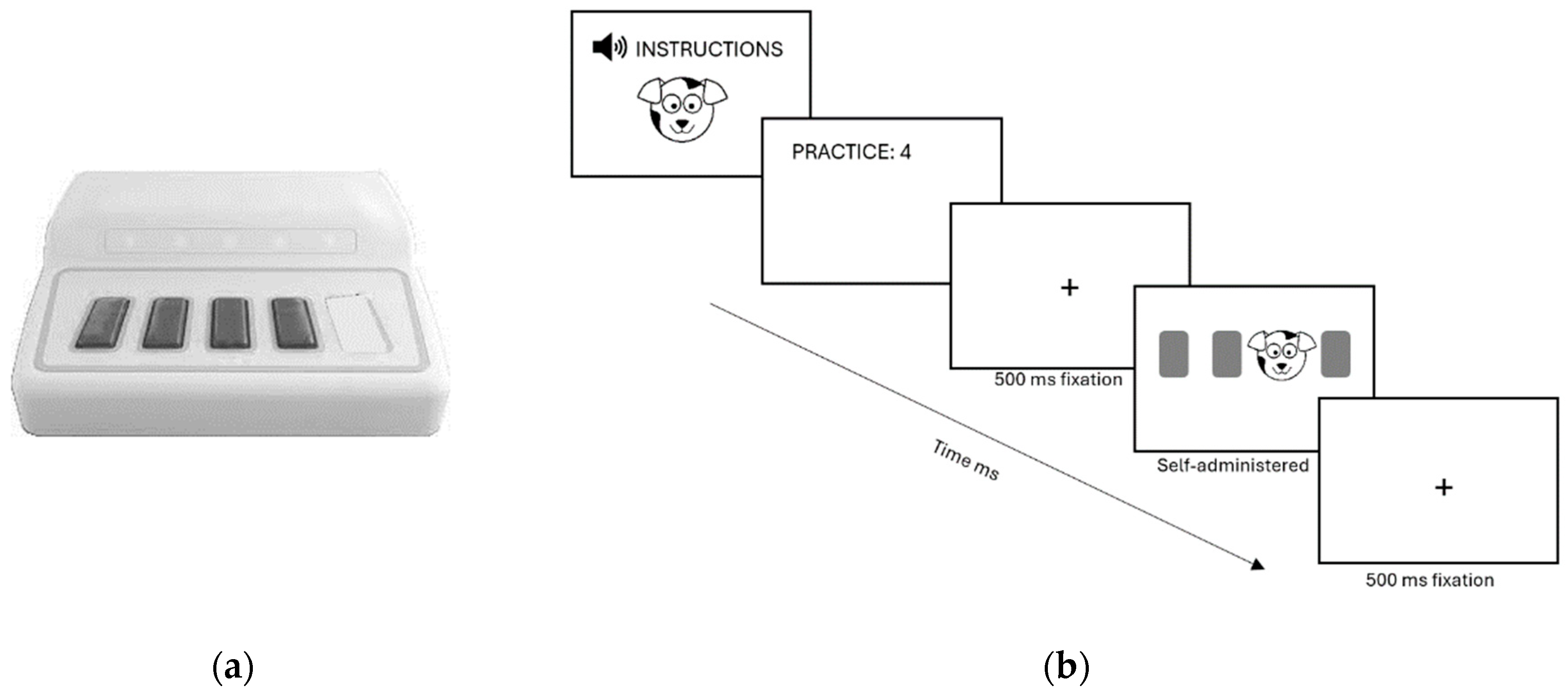 Brainsci 14 00198 g001