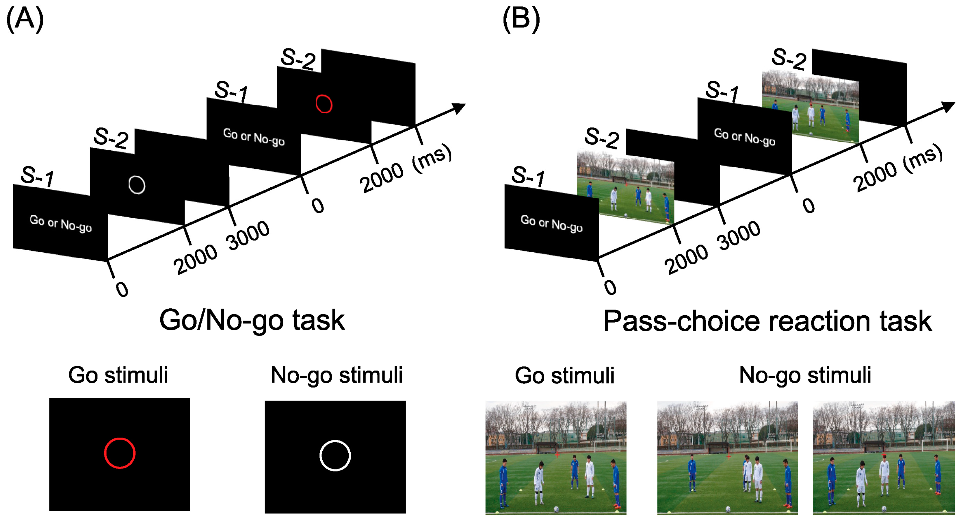Brainsci 14 00199 g001