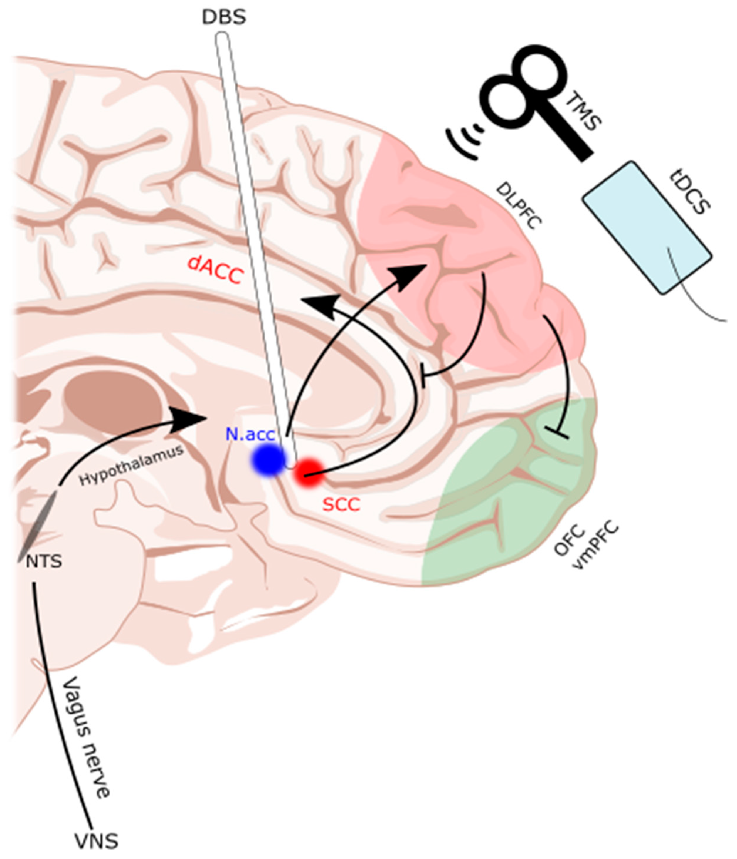 Brainsci 14 00200 g001