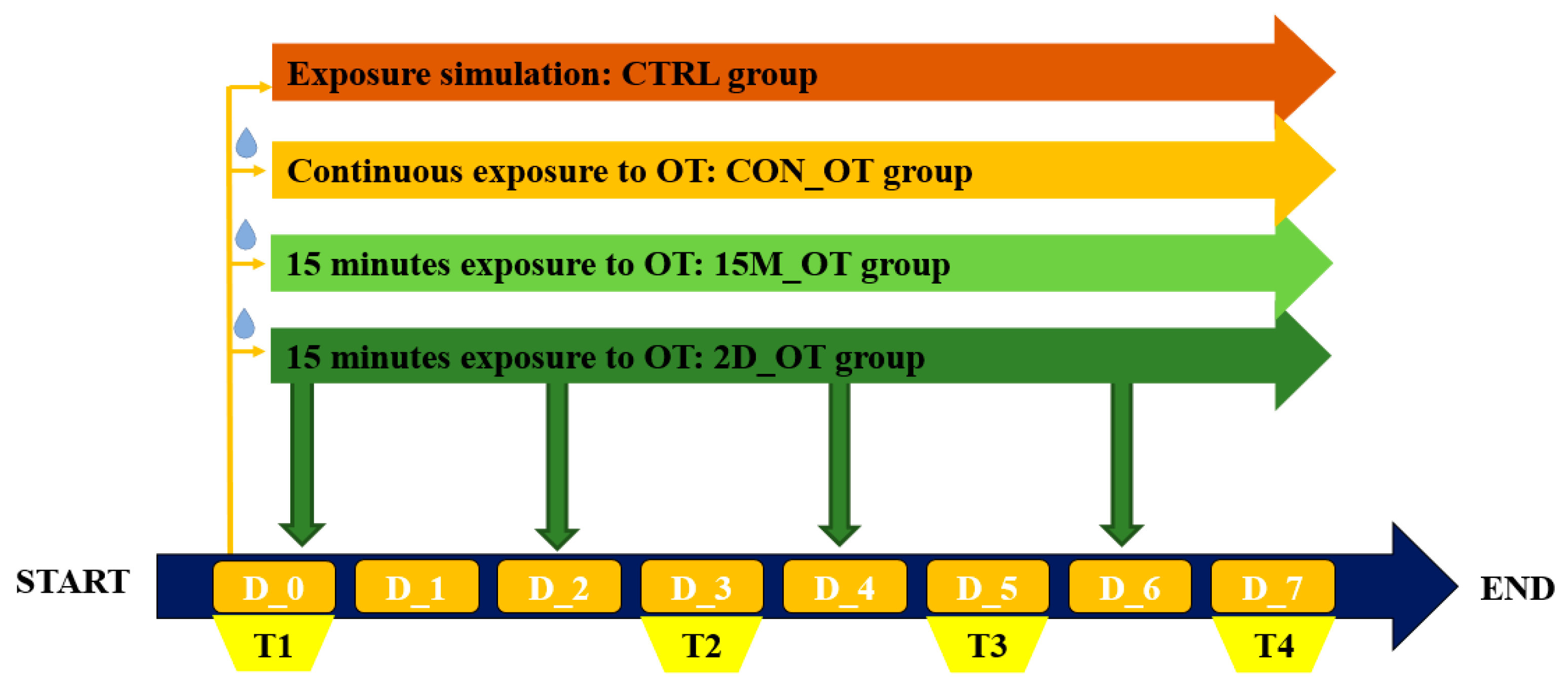 Brainsci 14 00203 g001