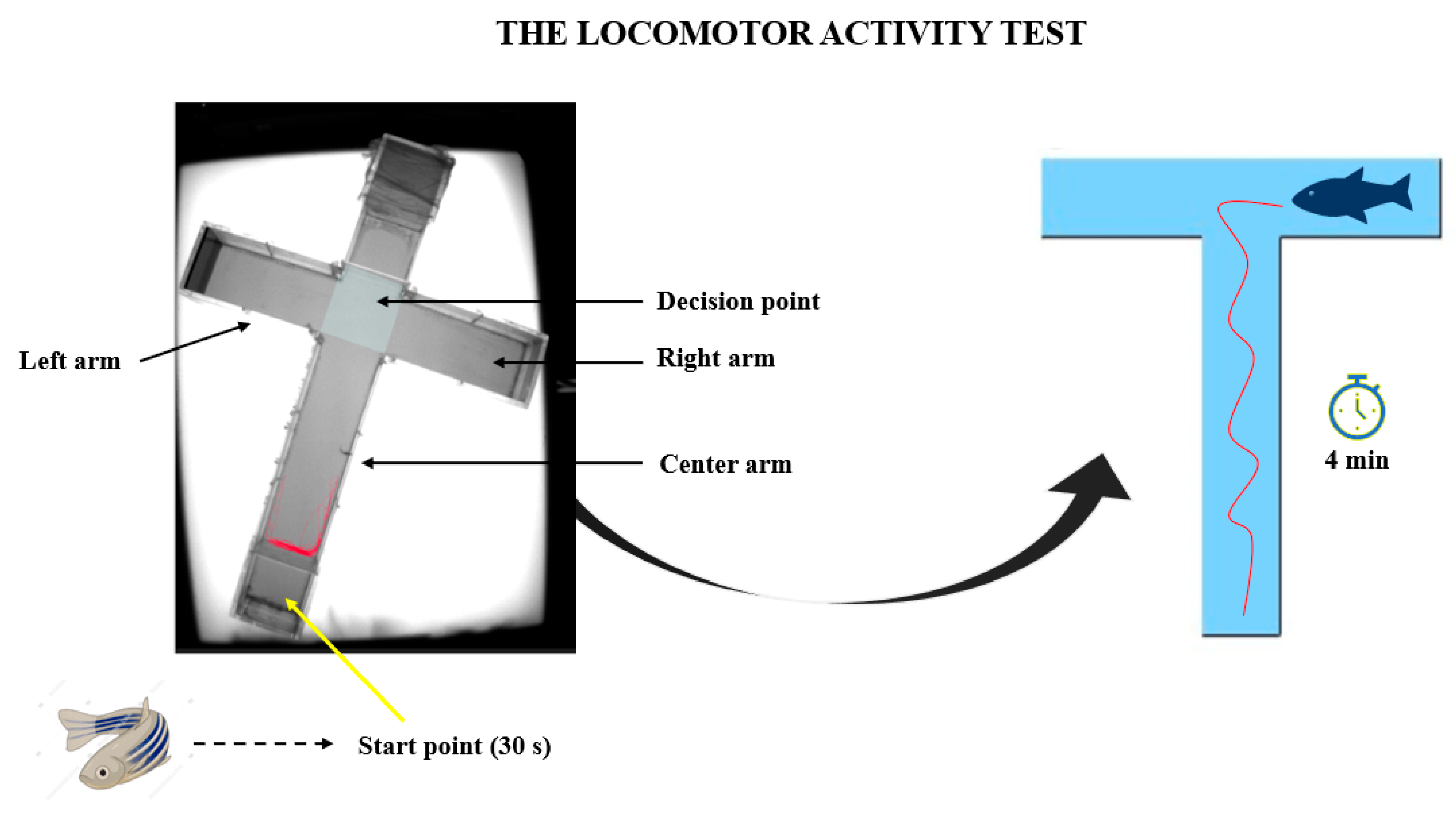 Brainsci 14 00203 g002