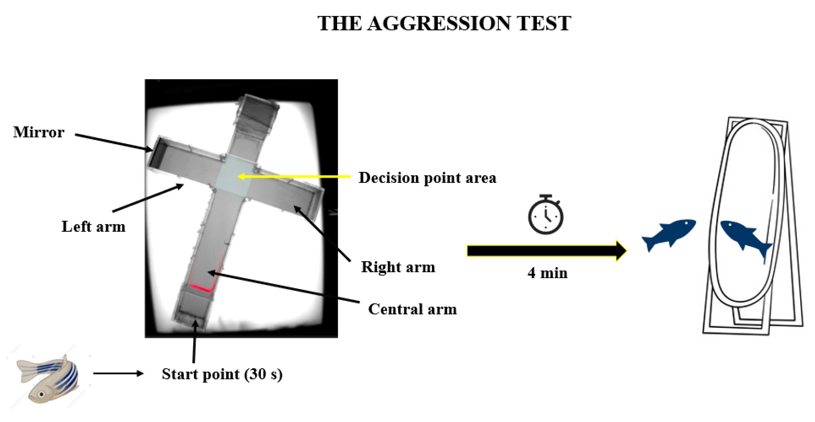 Brainsci 14 00203 g003