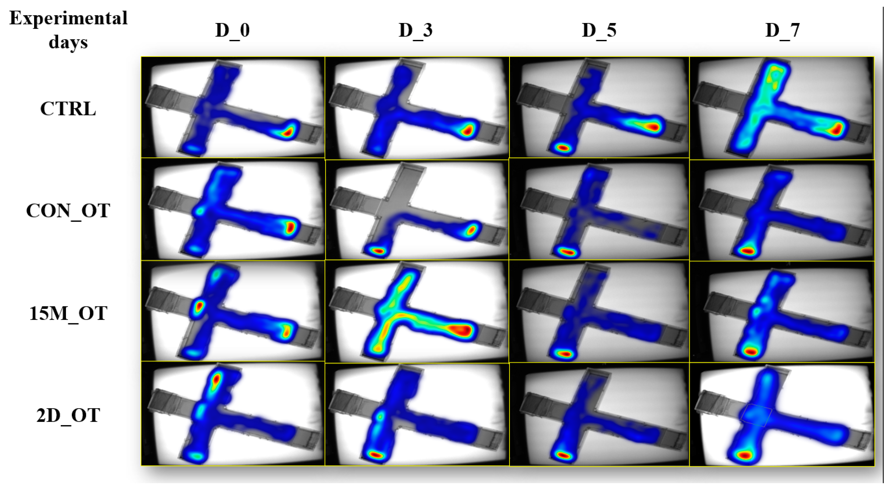 Brainsci 14 00203 g012