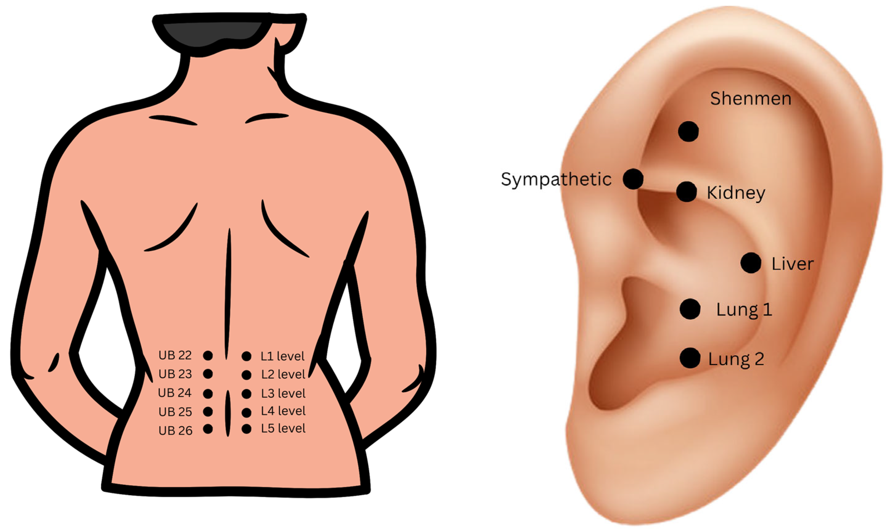 Brainsci 14 00205 g003