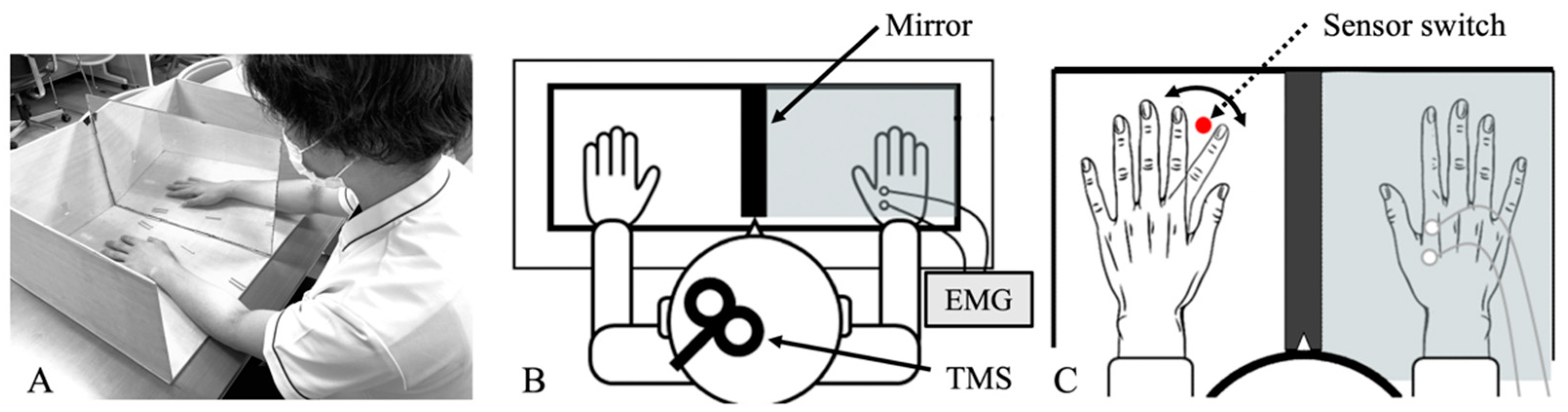Brainsci 14 00206 g001