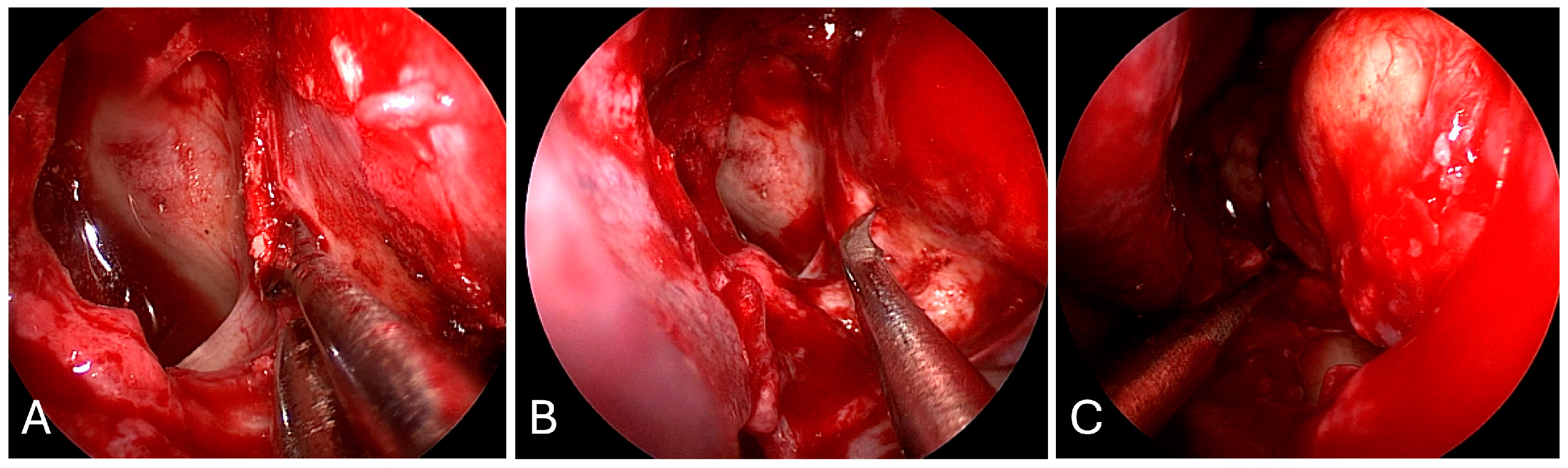 Brainsci 14 00207 g007