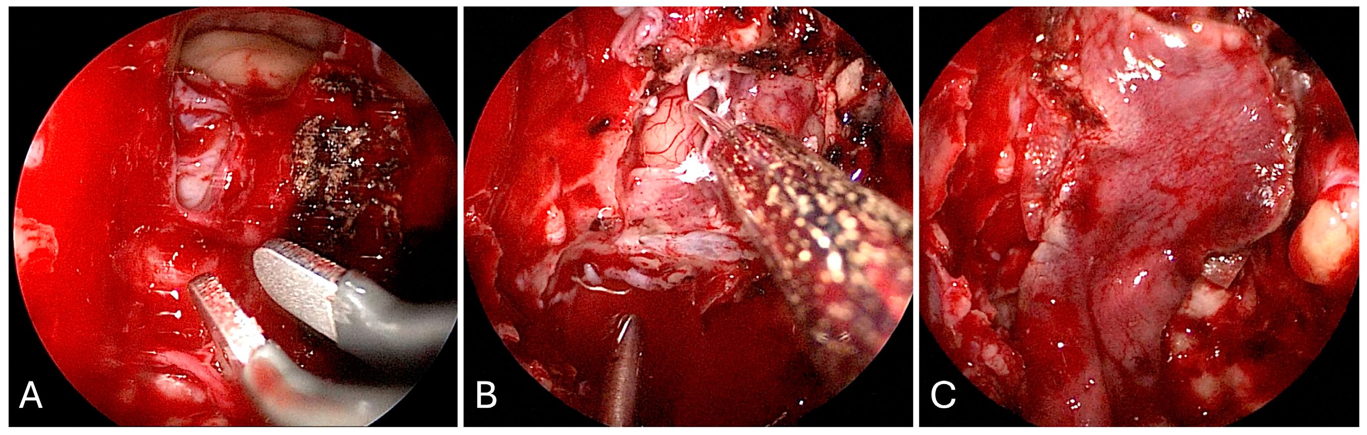 Brainsci 14 00207 g010