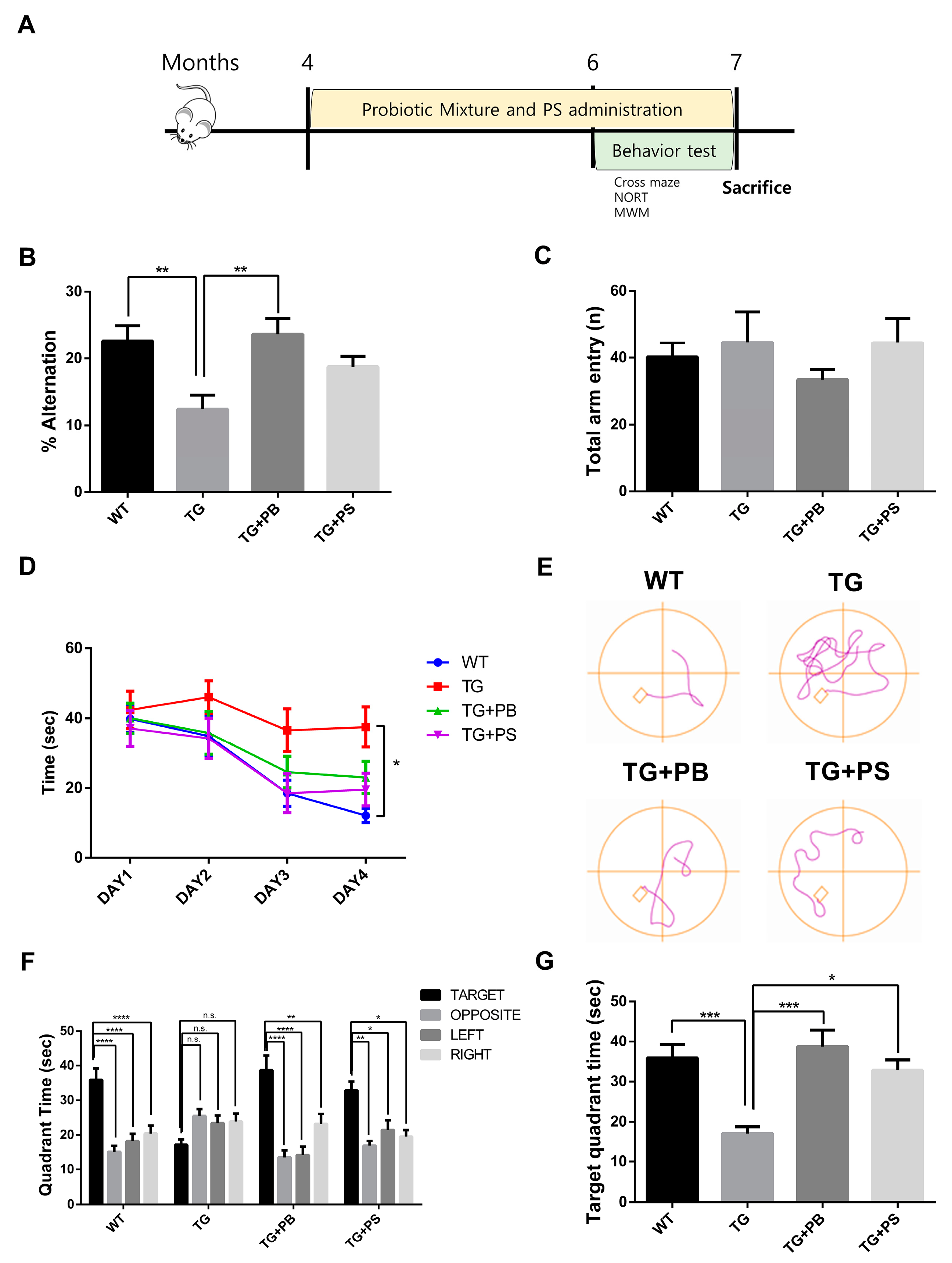 Brainsci 14 00208 g001