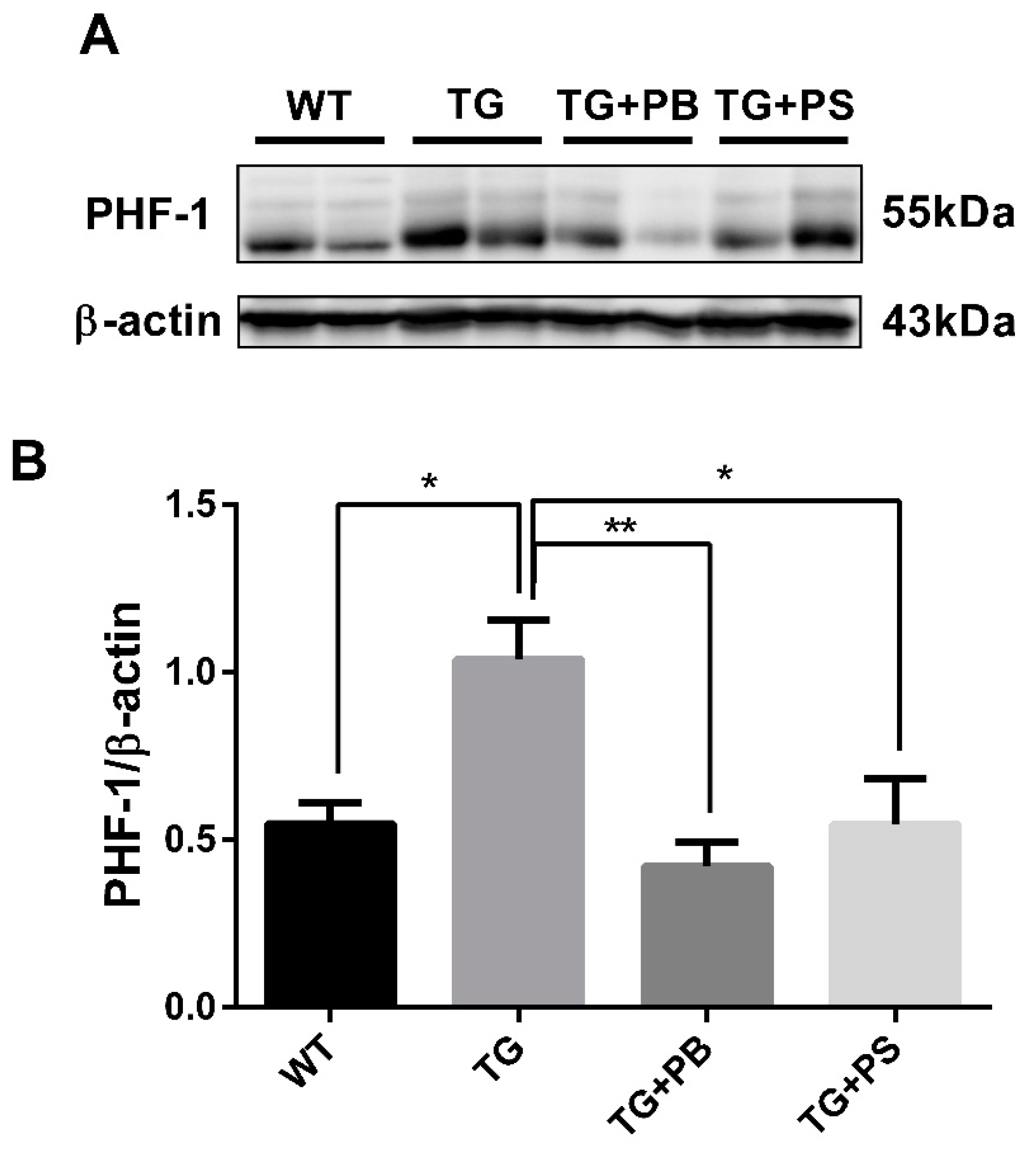 Brainsci 14 00208 g005