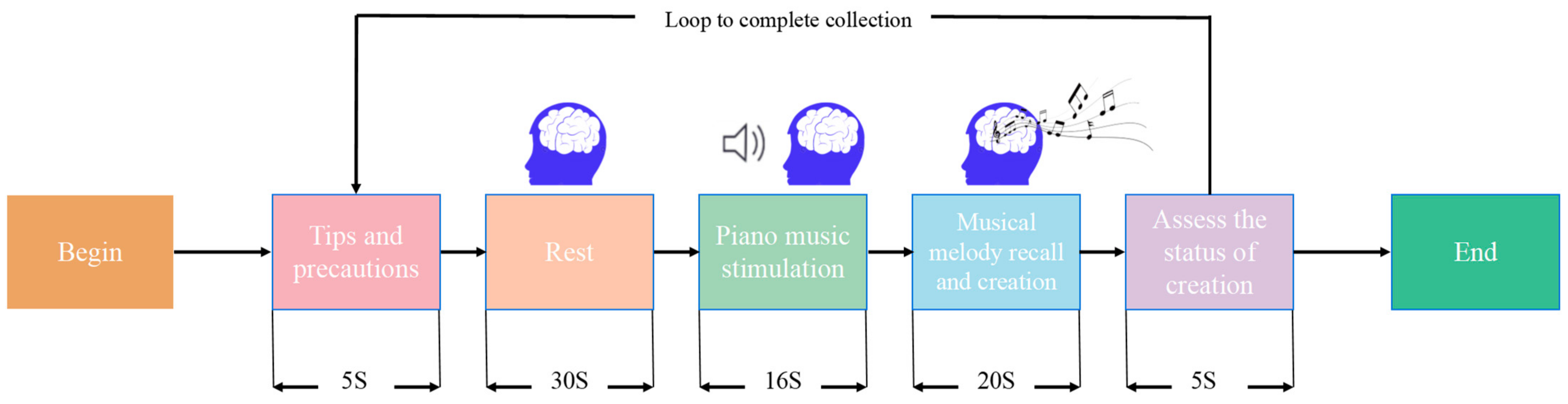 Brainsci 14 00216 g002