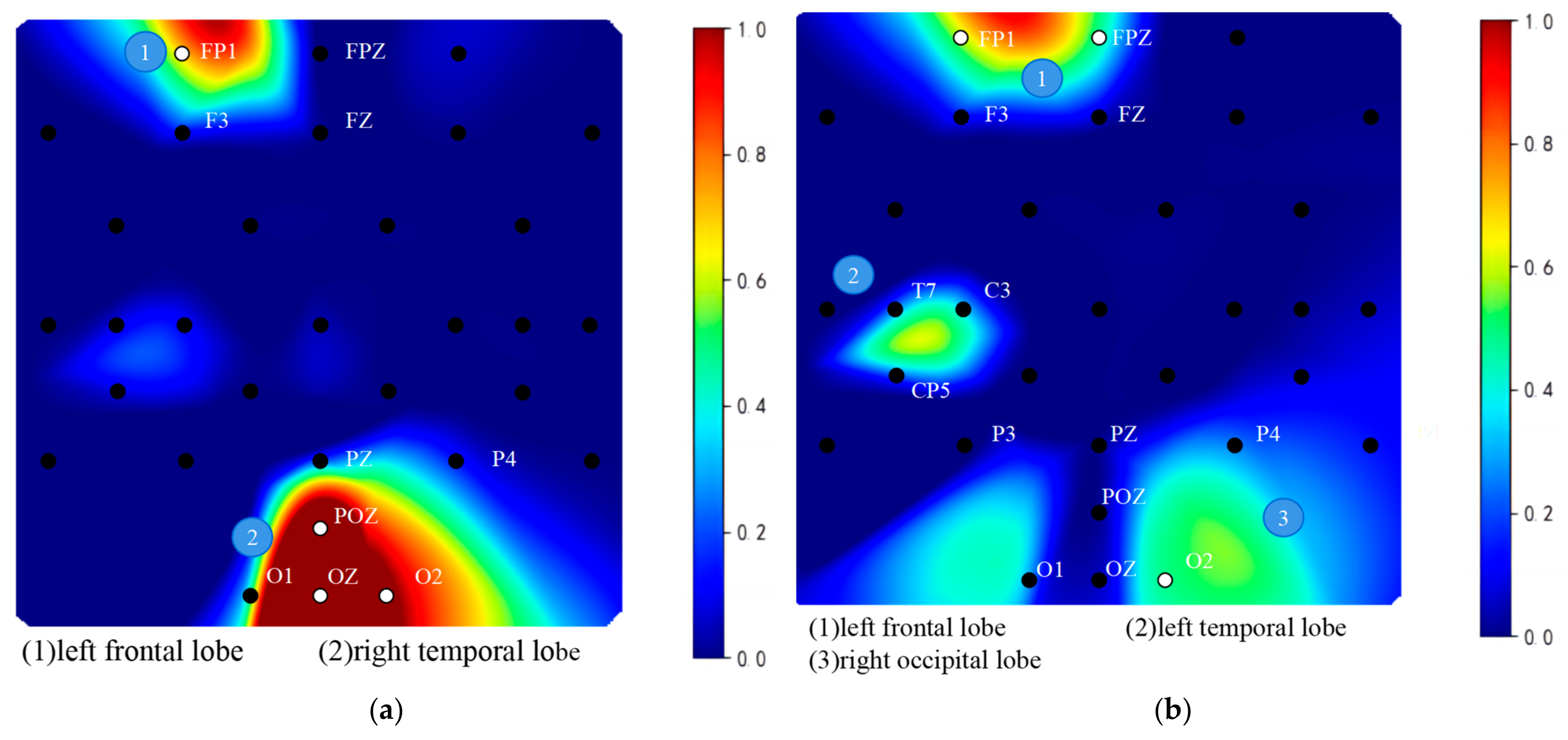 Brainsci 14 00216 g008a