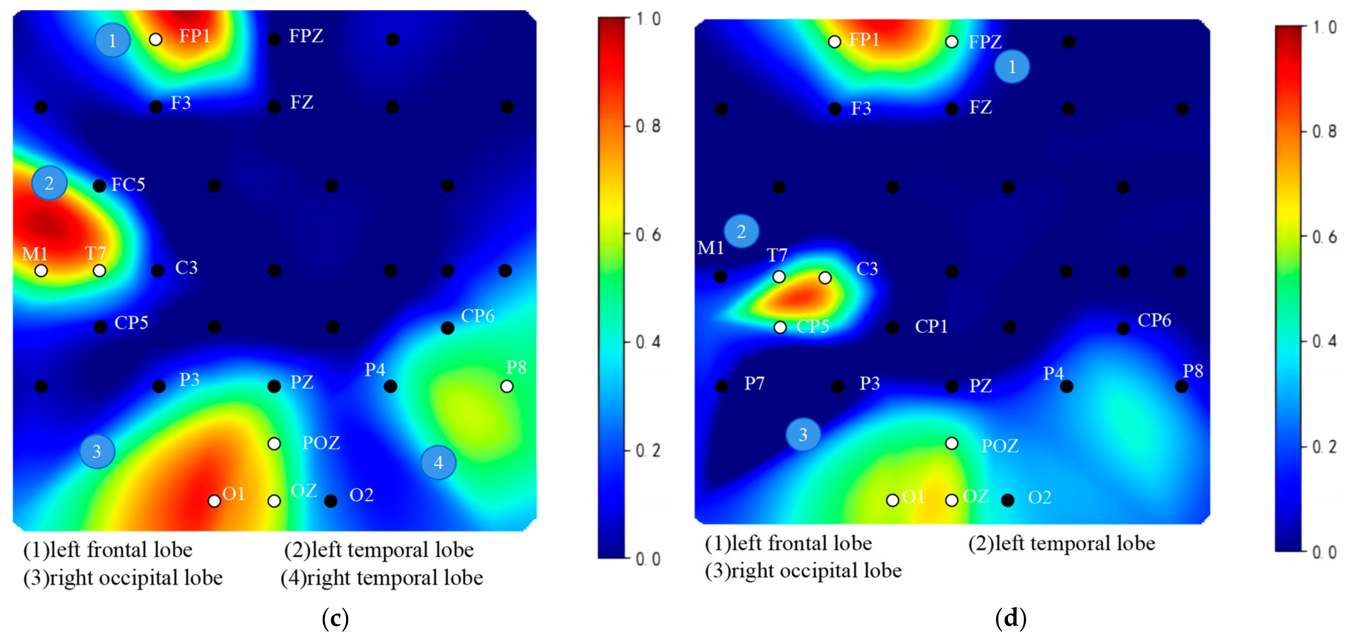 Brainsci 14 00216 g008b