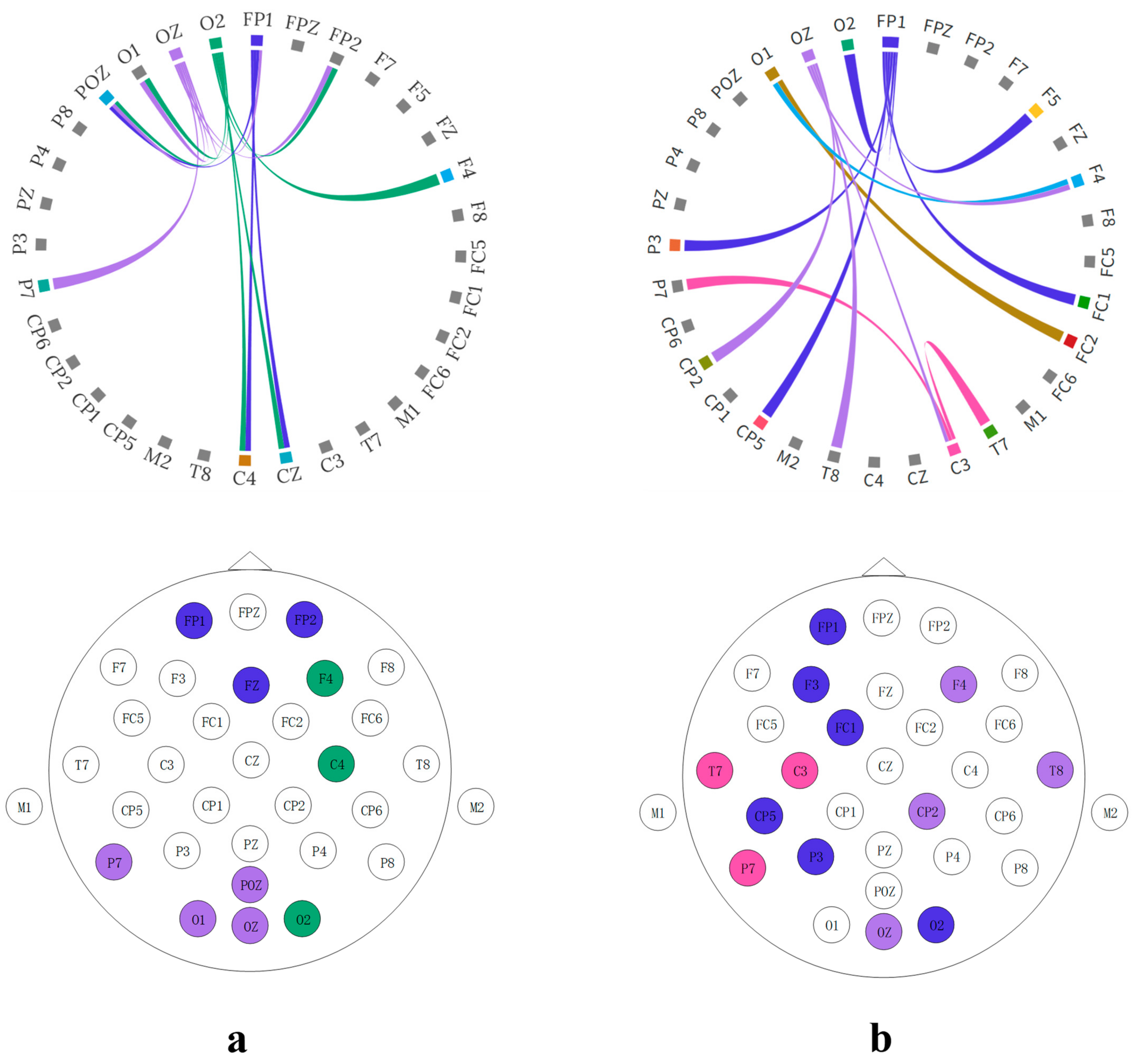 Brainsci 14 00216 g013