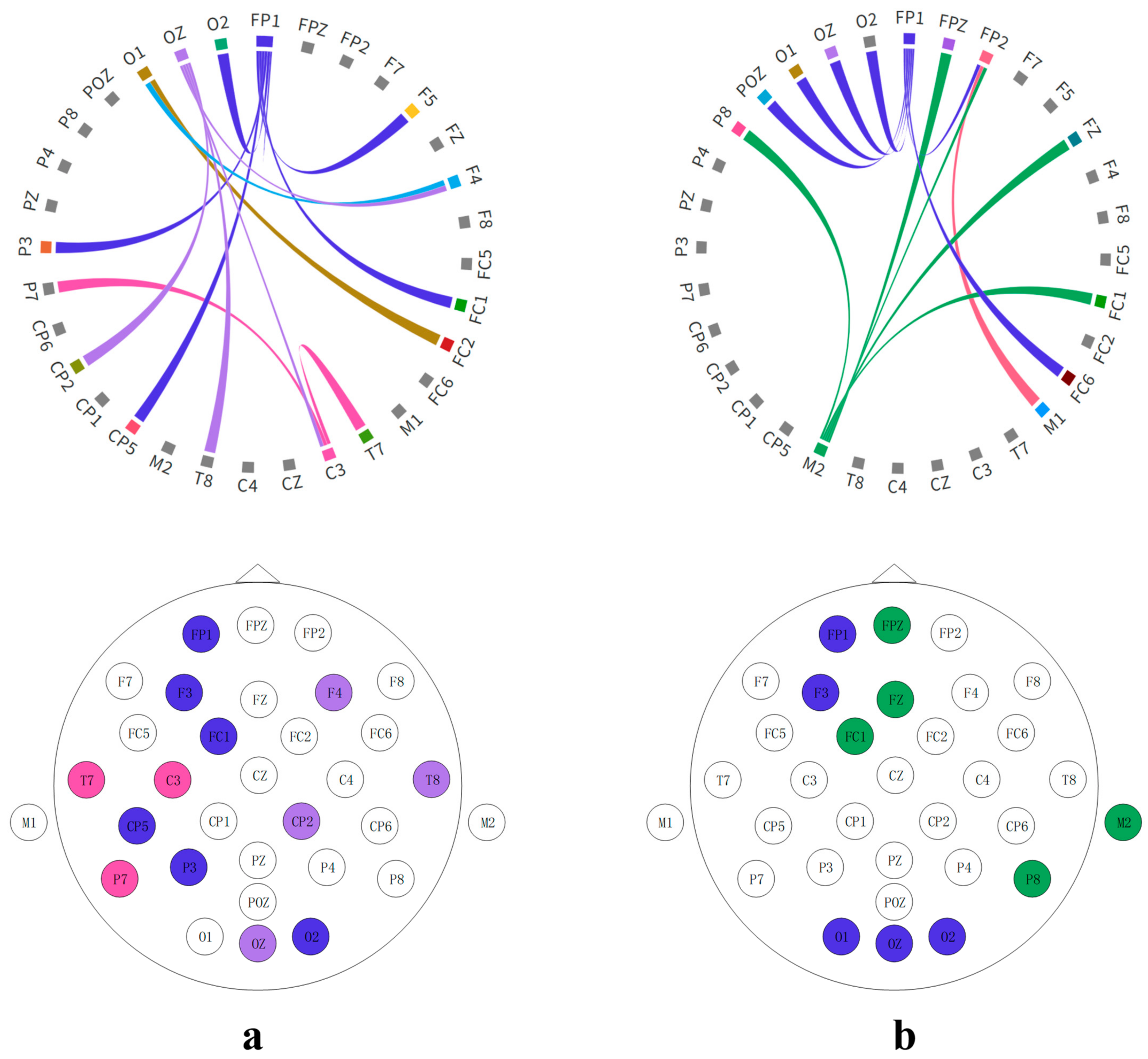 Brainsci 14 00216 g016