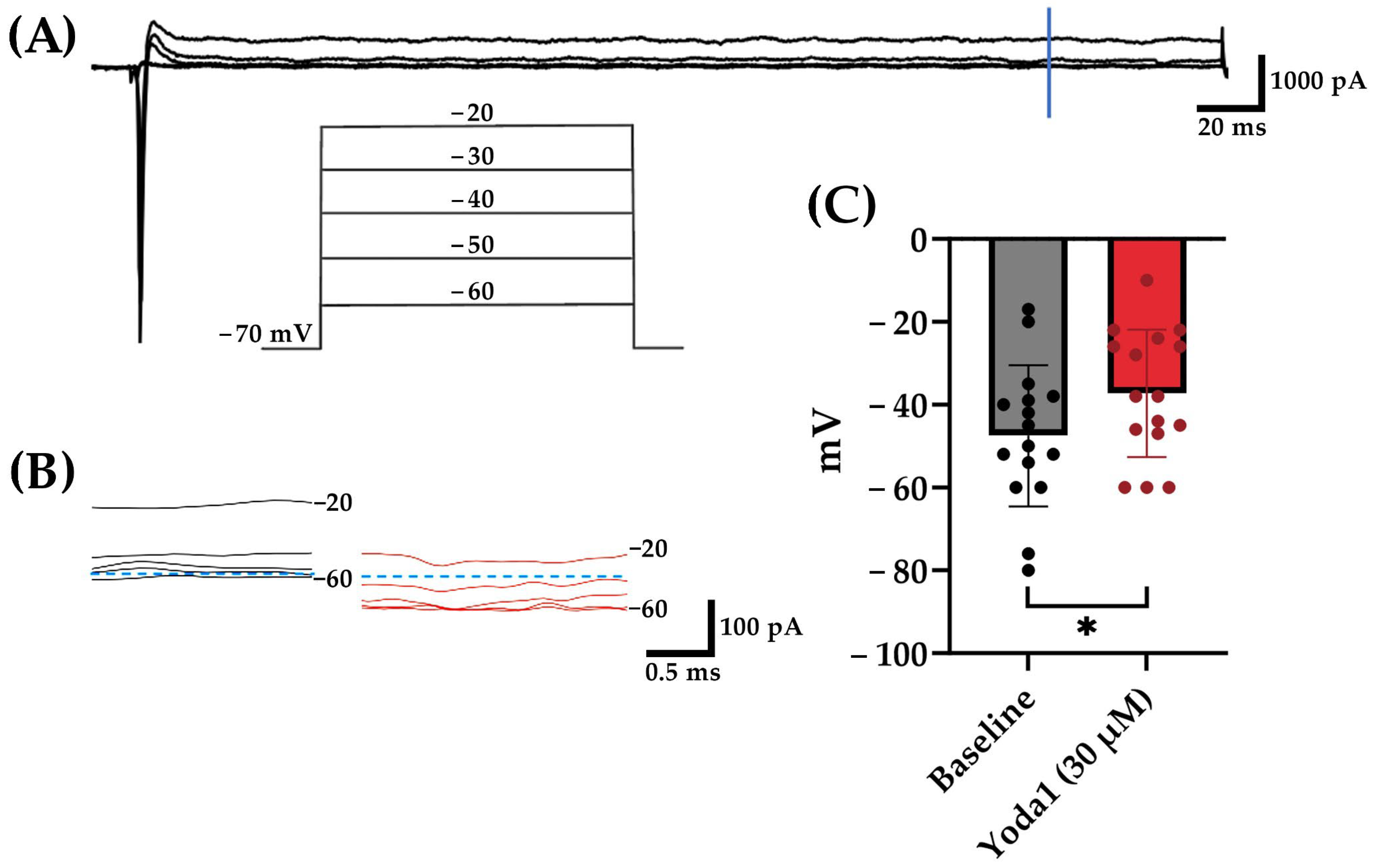 Brainsci 14 00223 g008