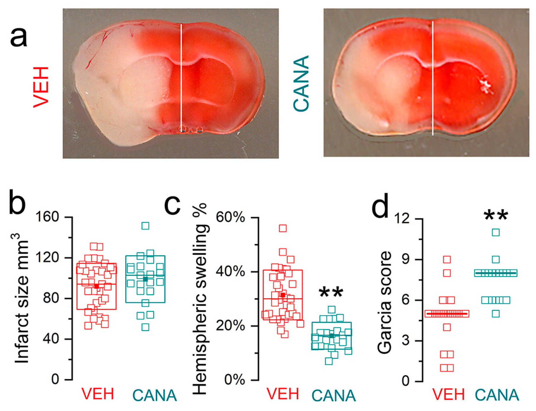 Brainsci 14 00229 g002