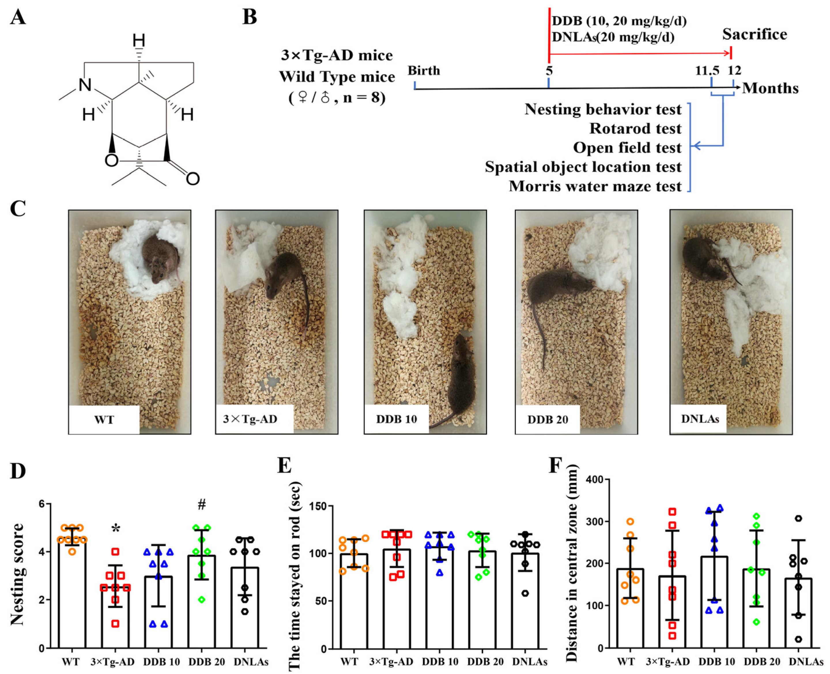 Dendrobine Ameliorates Alzheimer's Disease-like Pathology