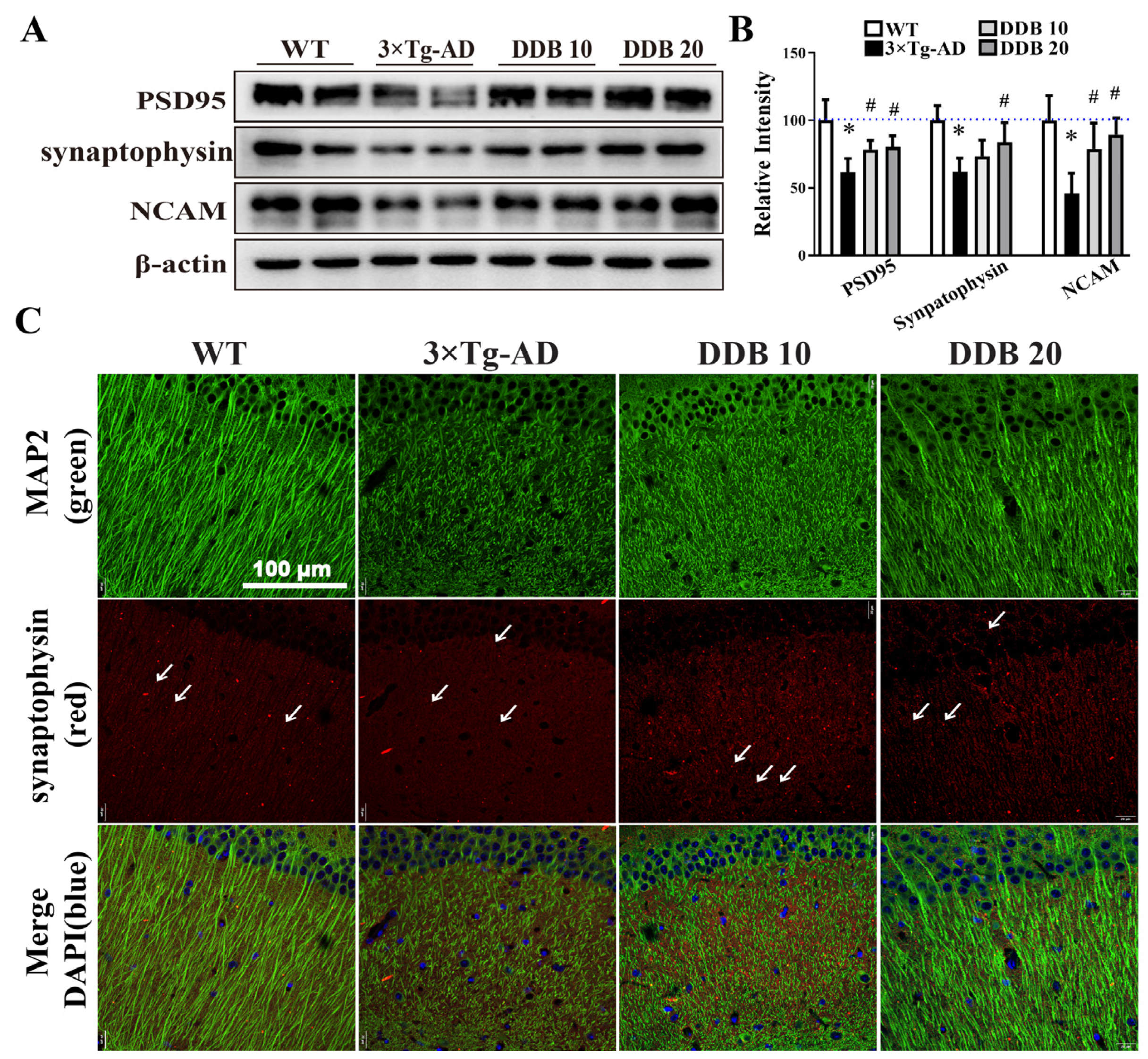 Brainsci 14 00231 g006