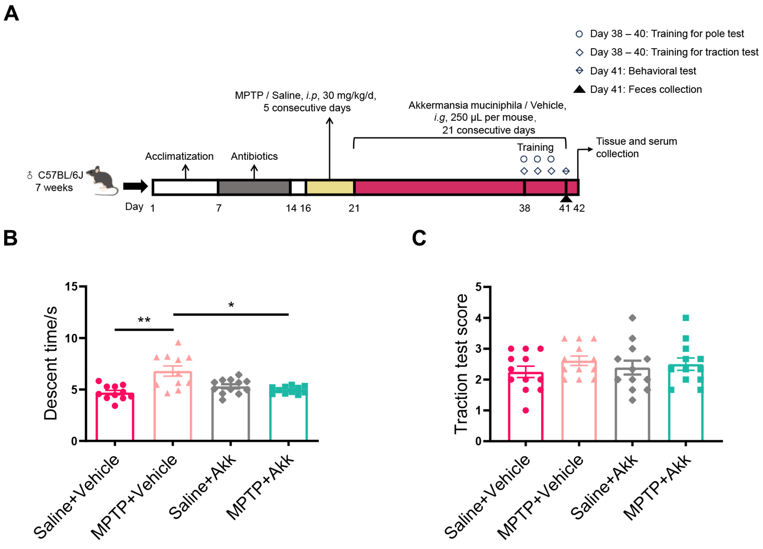Brainsci 14 00238 g001