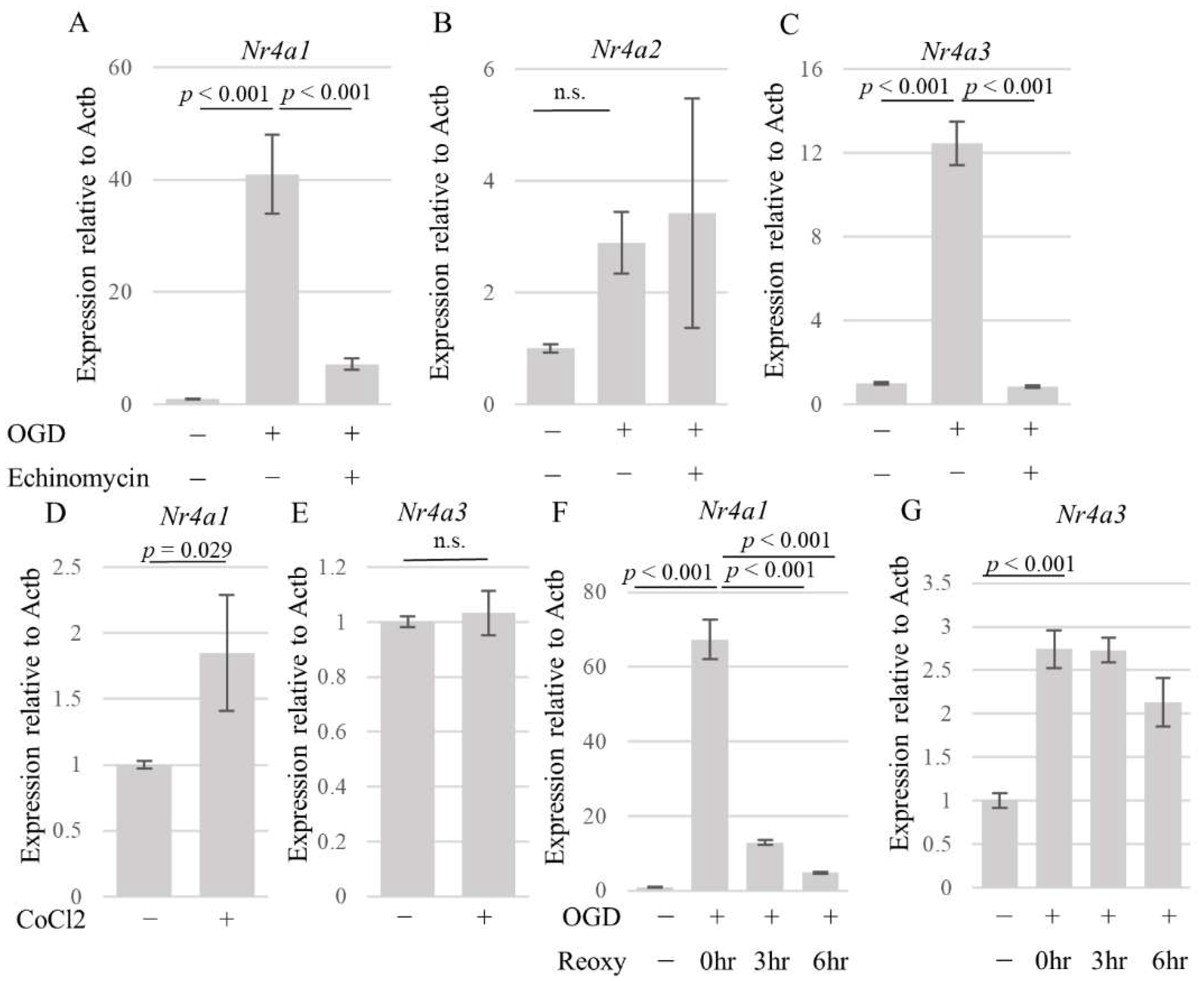 Brainsci 14 00244 g004 Brainsci 14 00244 g004
