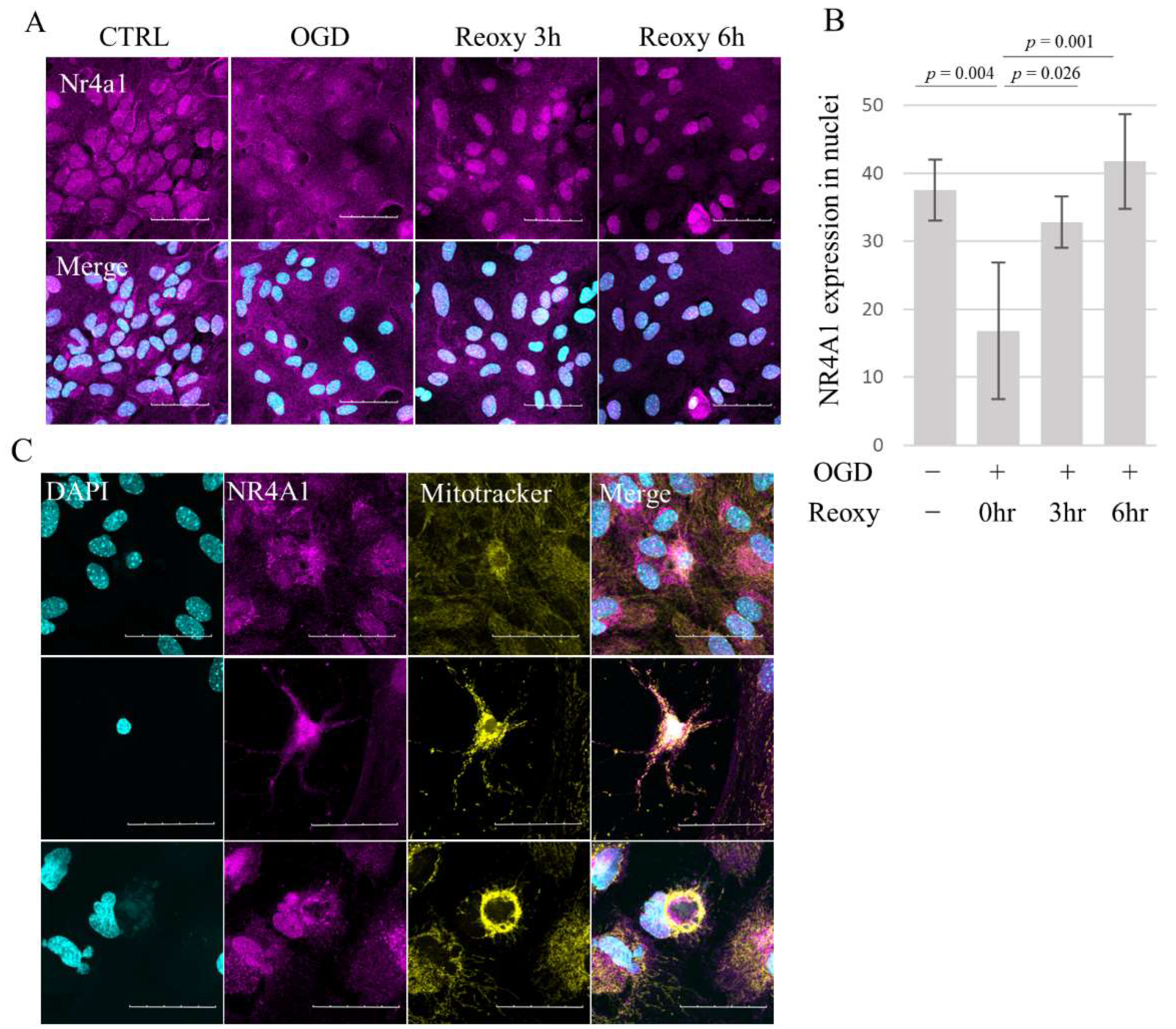 Brainsci 14 00244 g005 Brainsci 14 00244 g005
