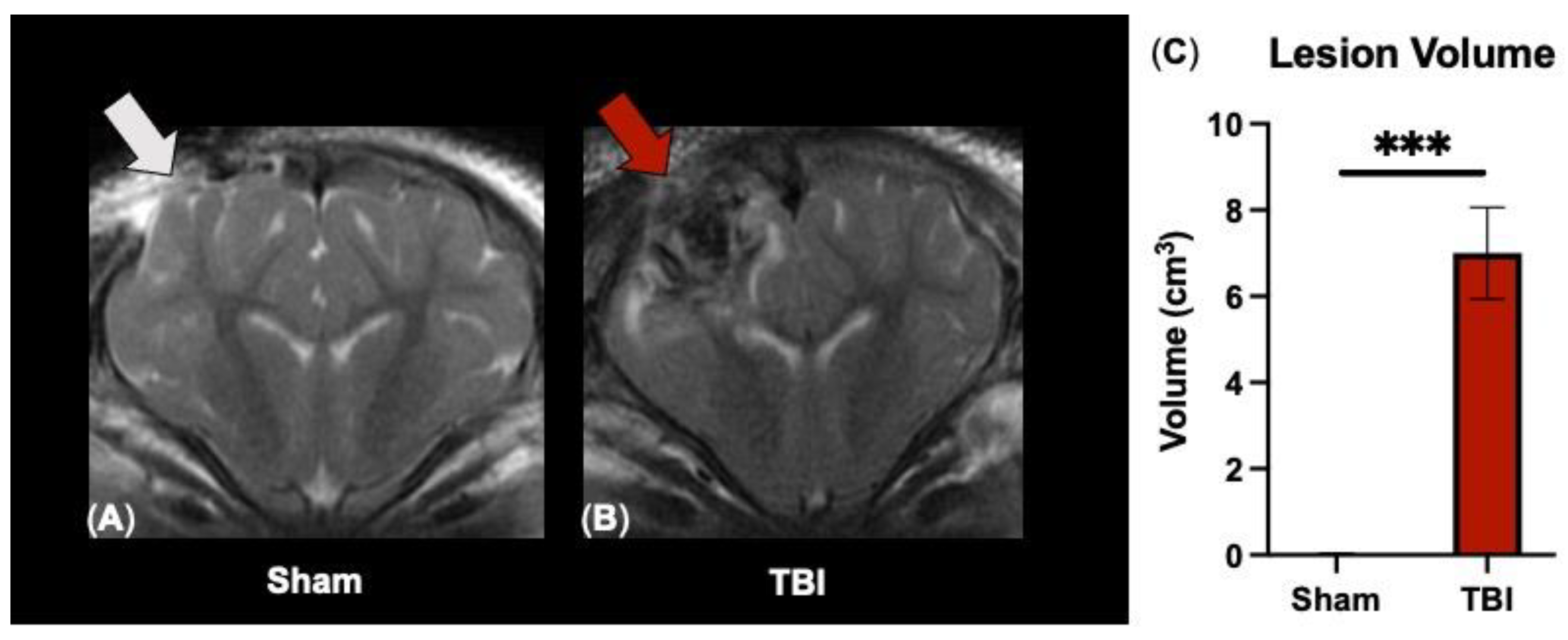 Brainsci 14 00247 g001