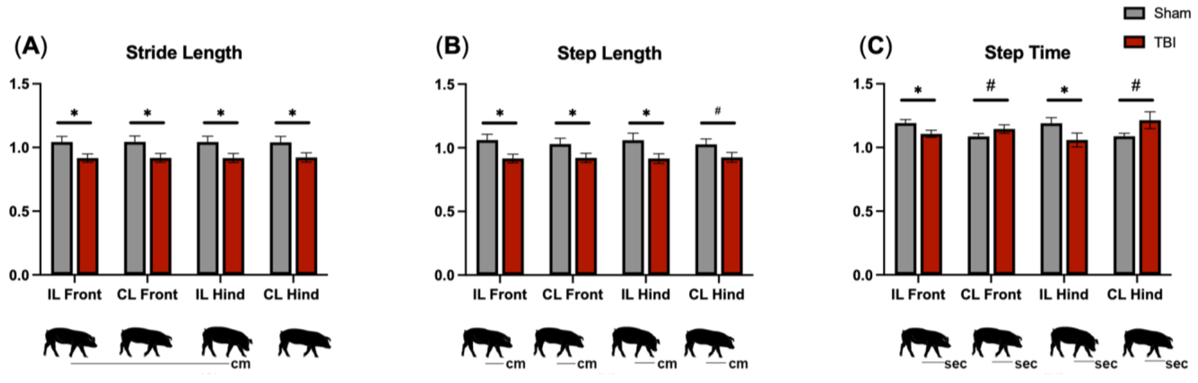Brainsci 14 00247 g004