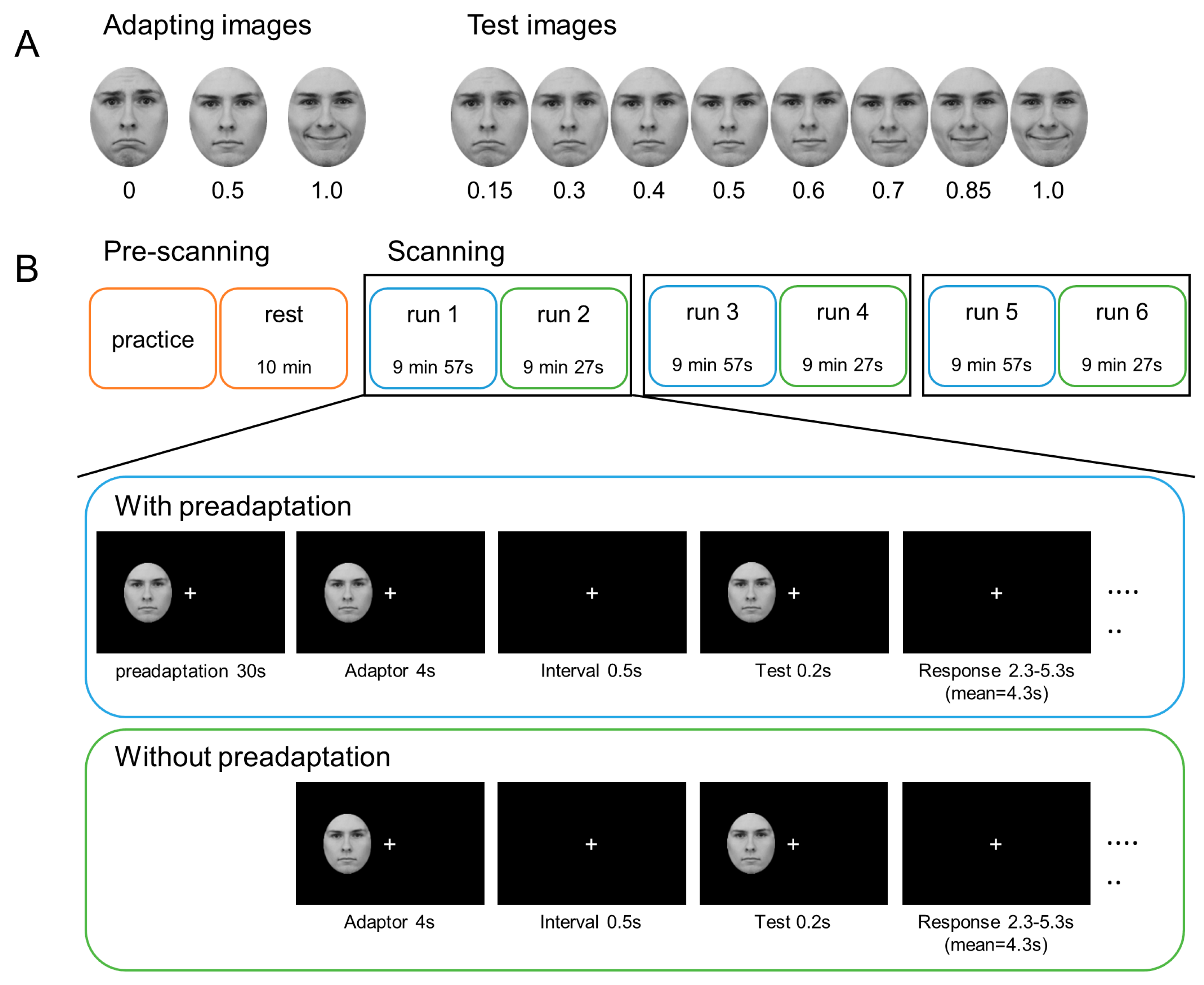 Brainsci 14 00257 g001 Brainsci 14 00257 g001