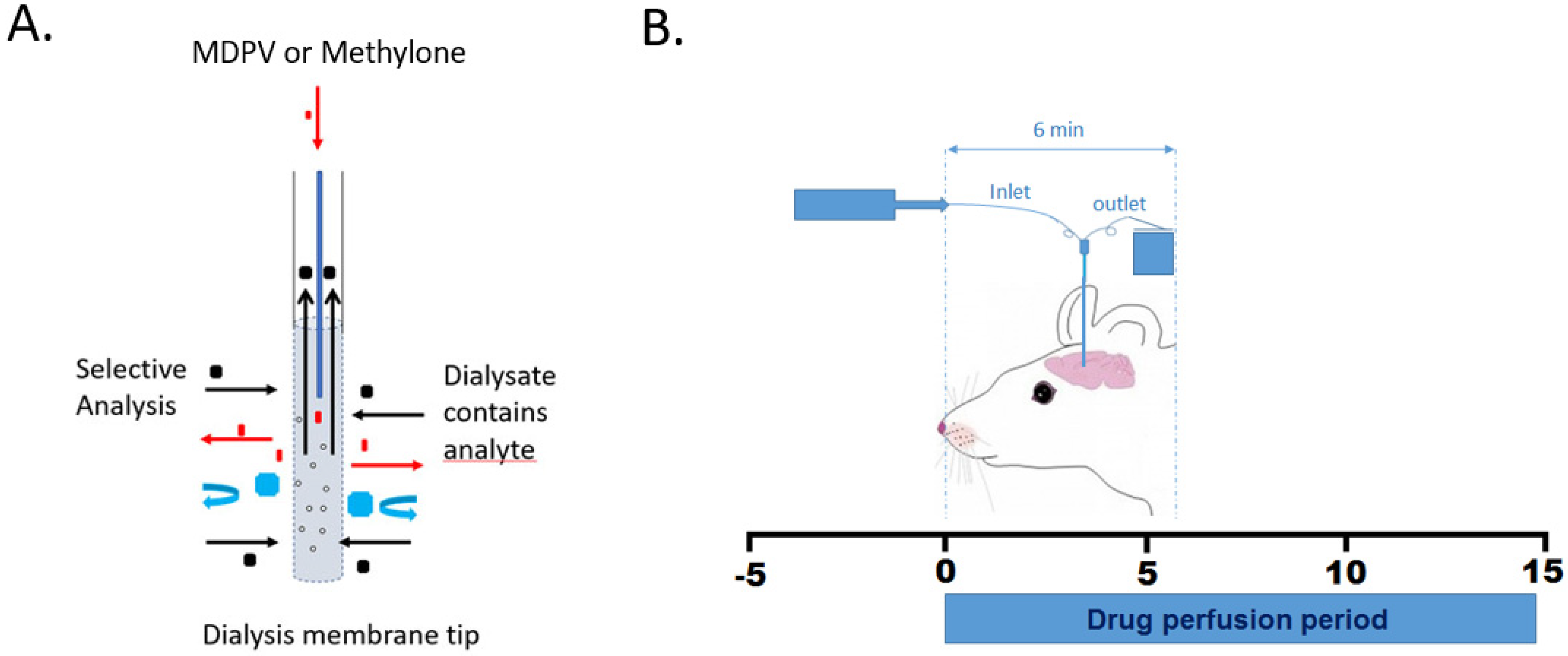 Brainsci 14 00265 g002