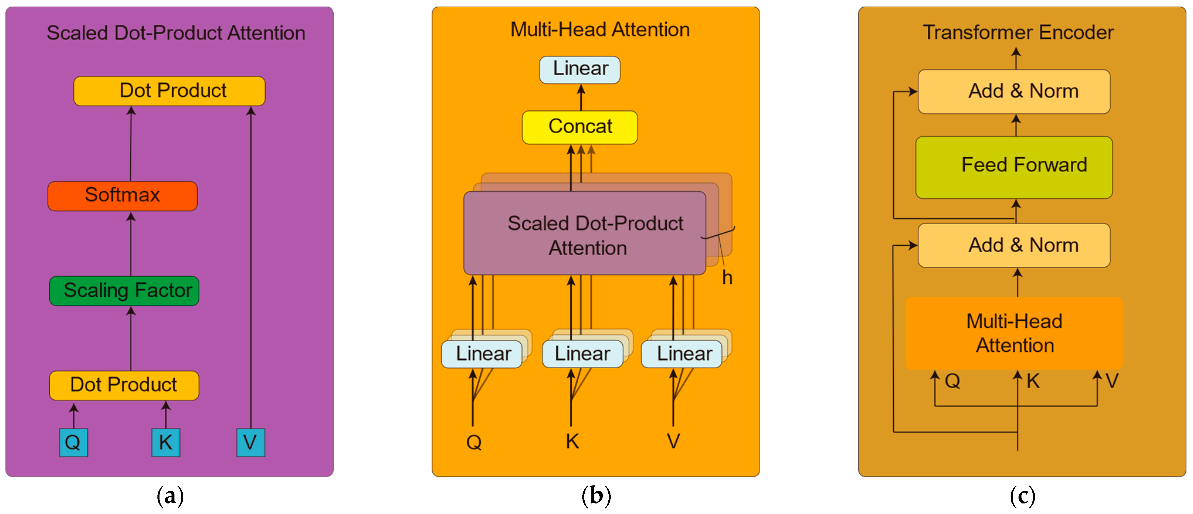 Brainsci 14 00268 g002