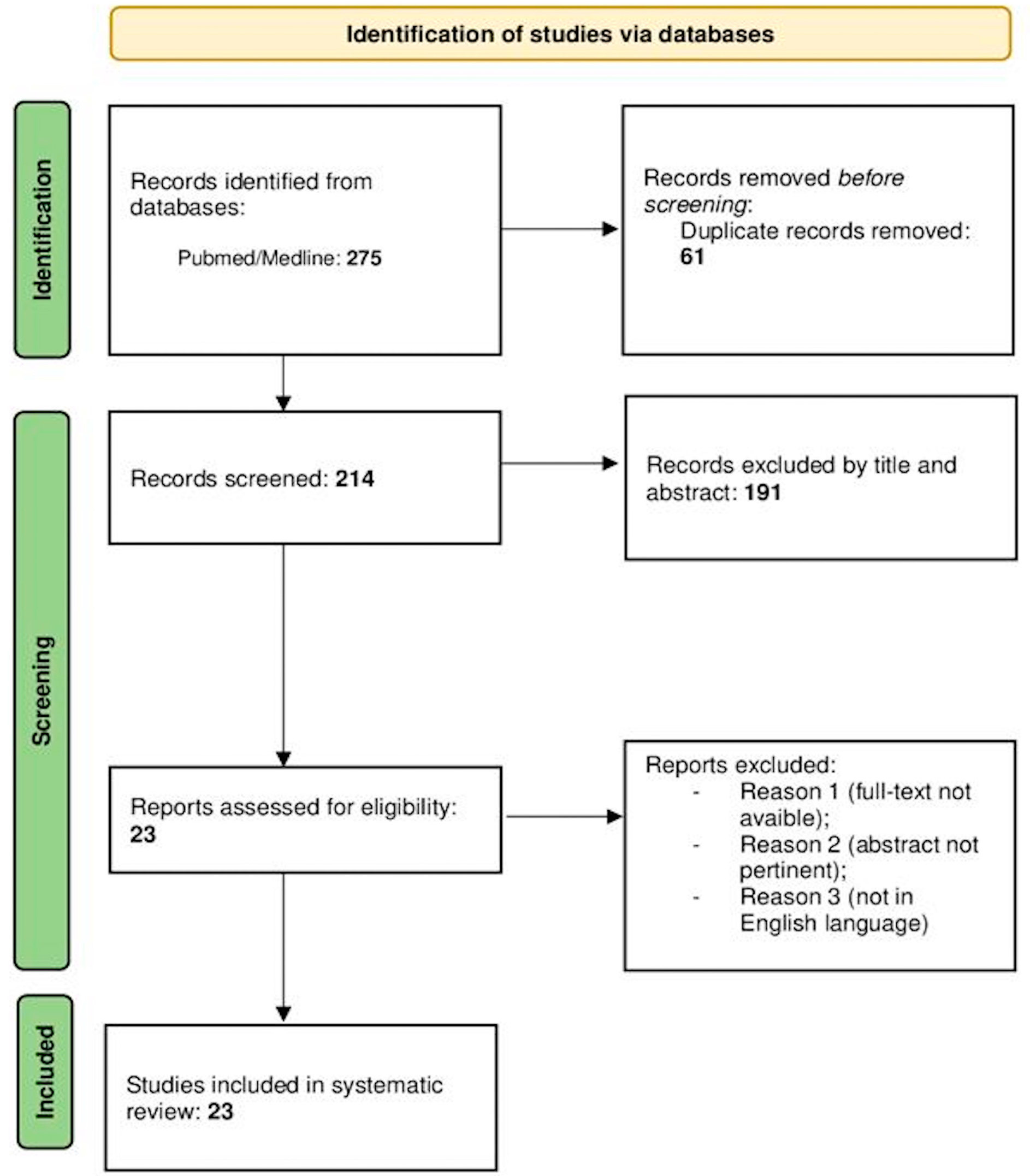 Brainsci 14 00286 g001