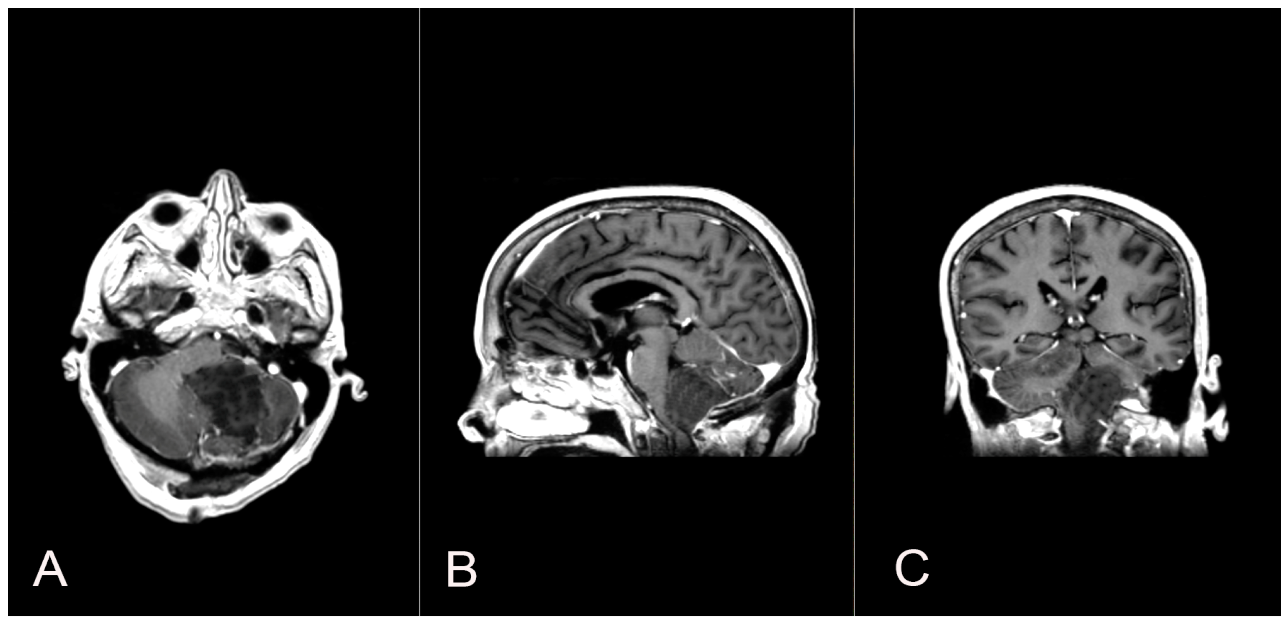 Brainsci 14 00286 g003