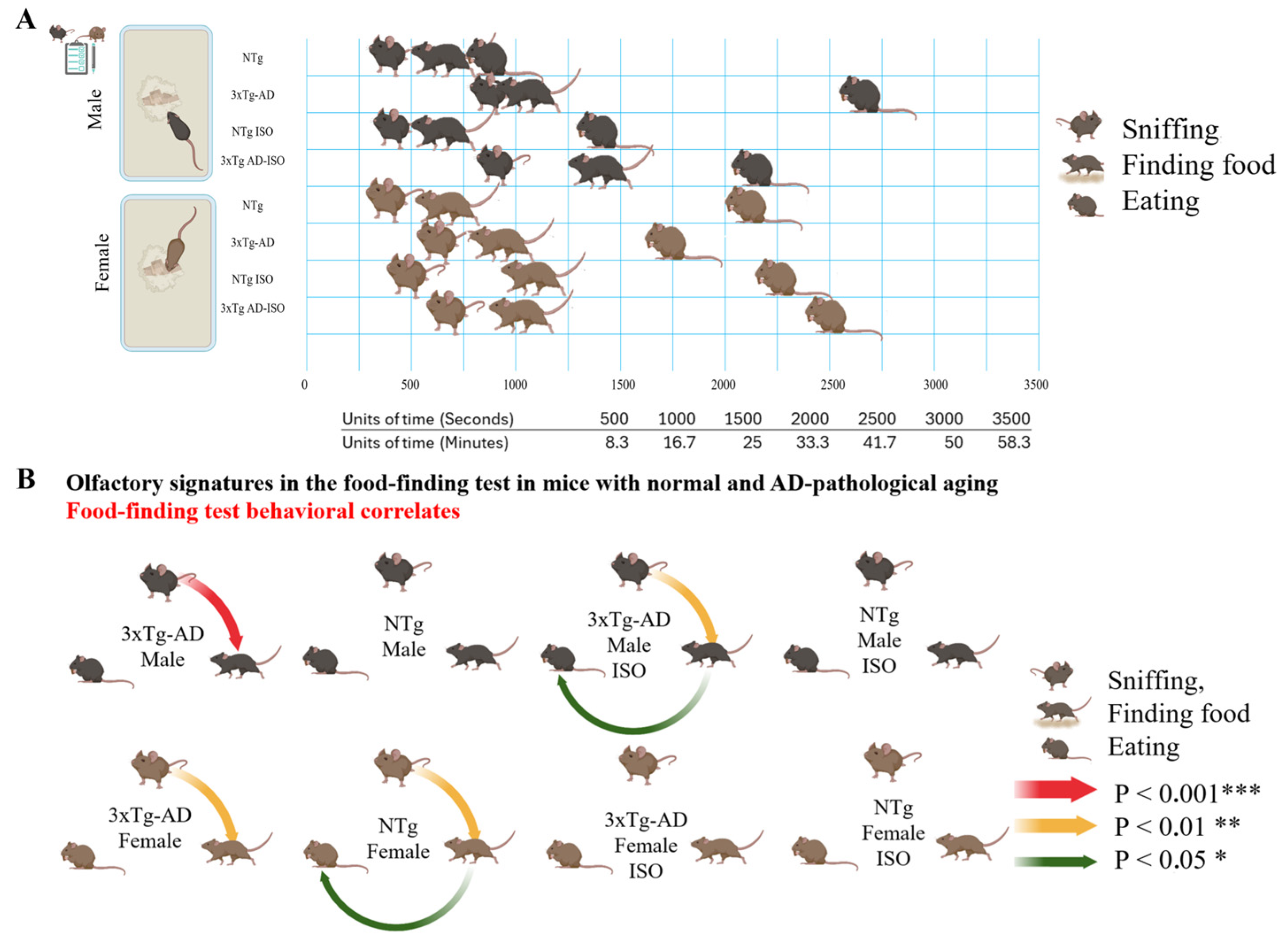 Brainsci 14 00288 g002