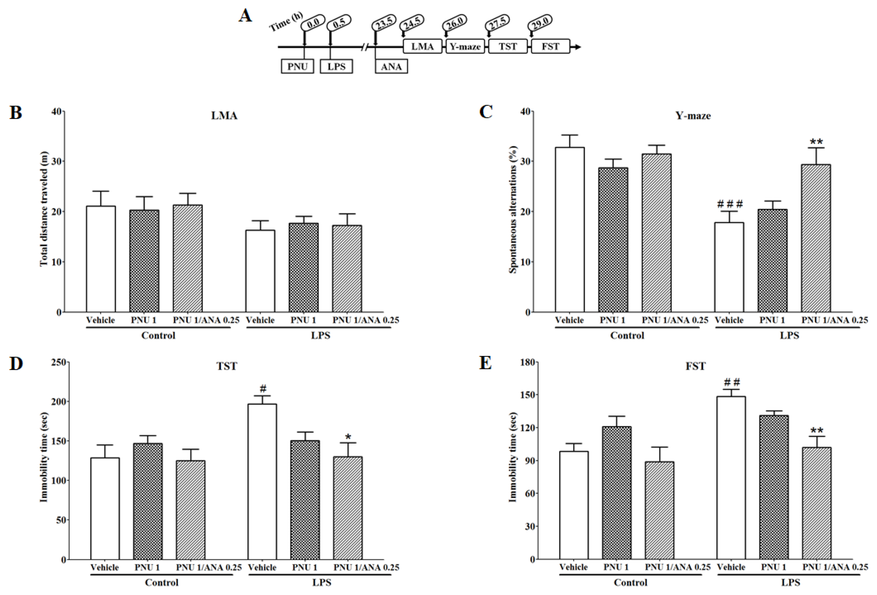 Brainsci 14 00290 g005