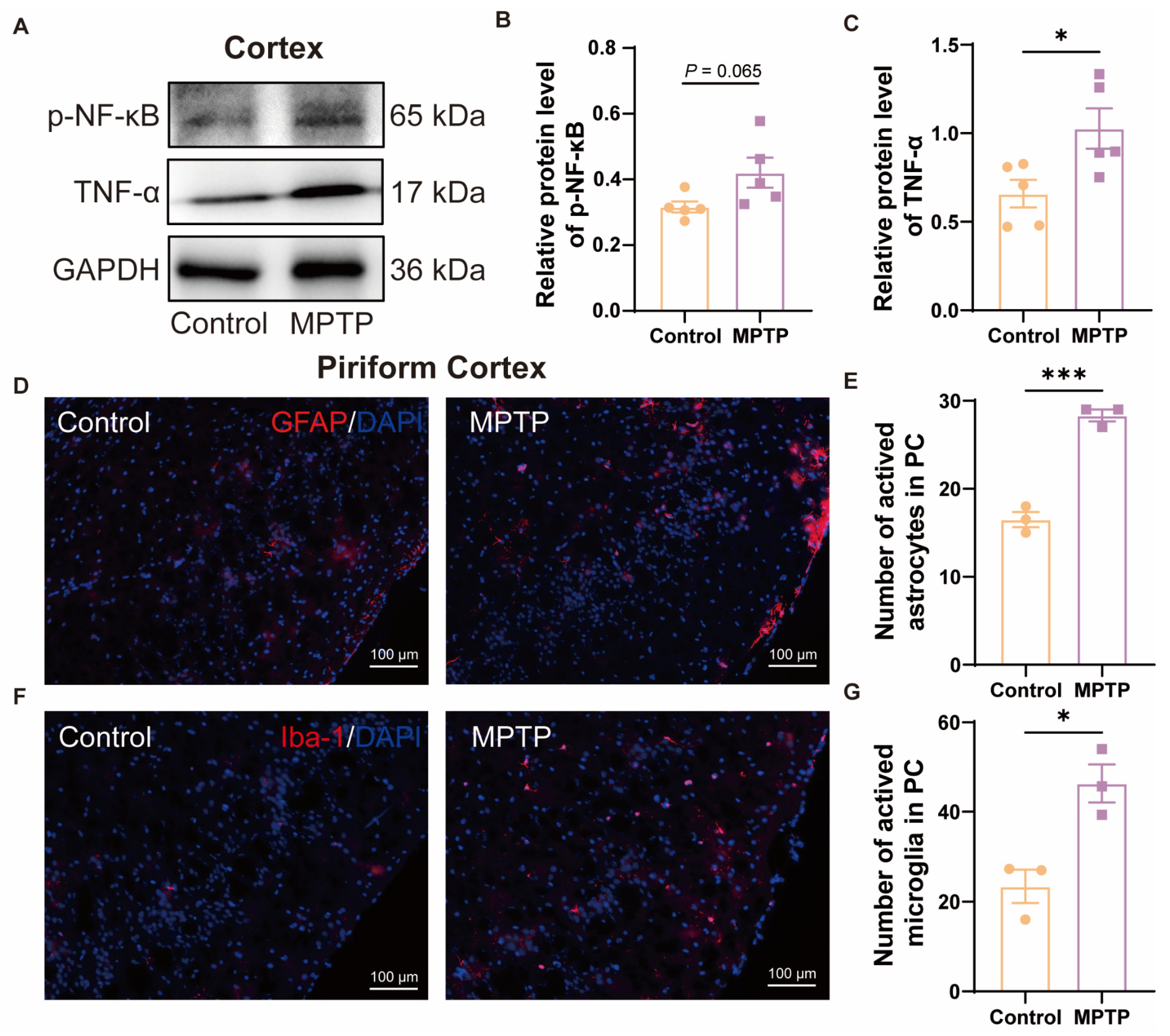 Brainsci 14 00300 g003