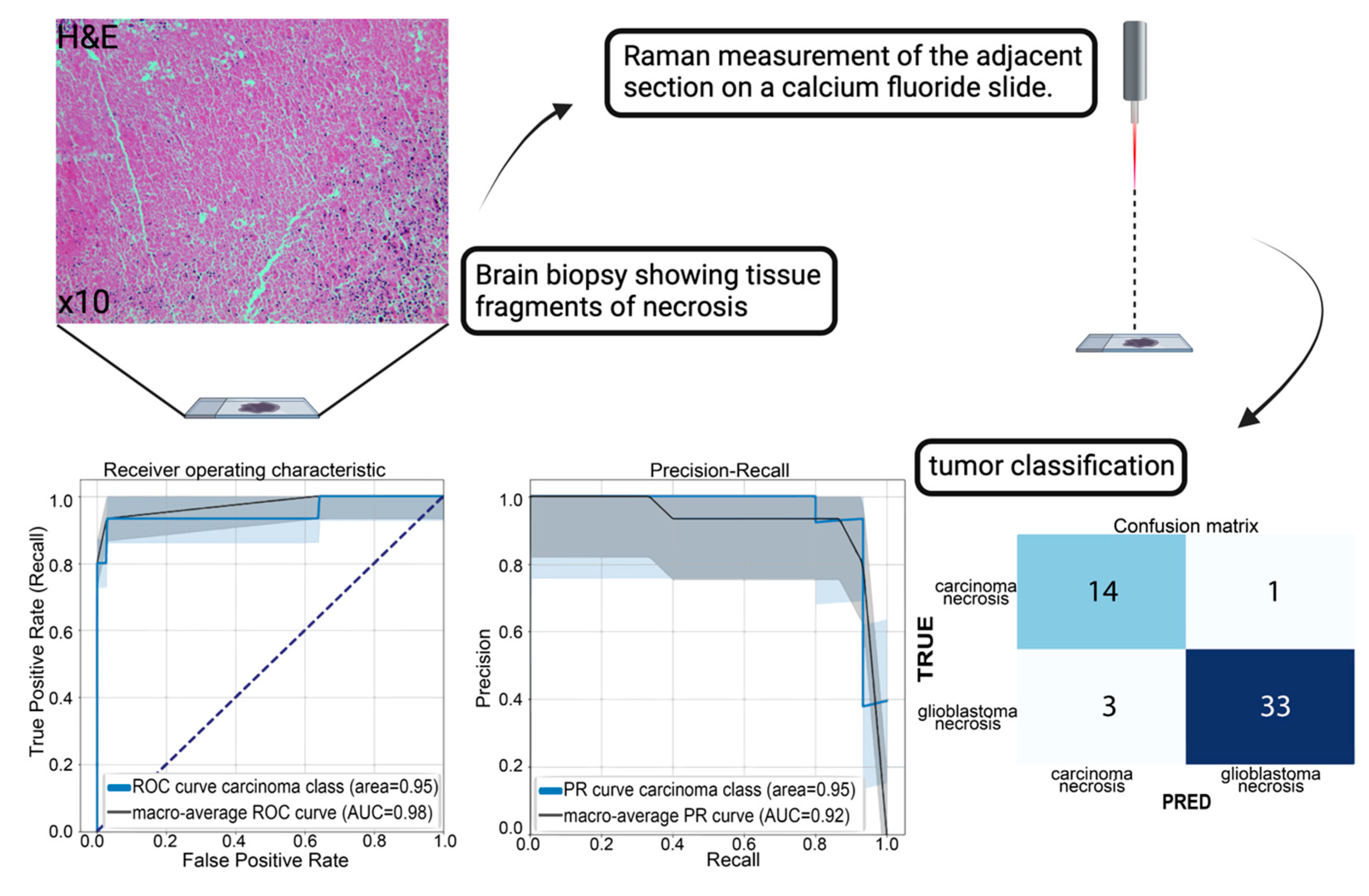 Brainsci 14 00301 g005