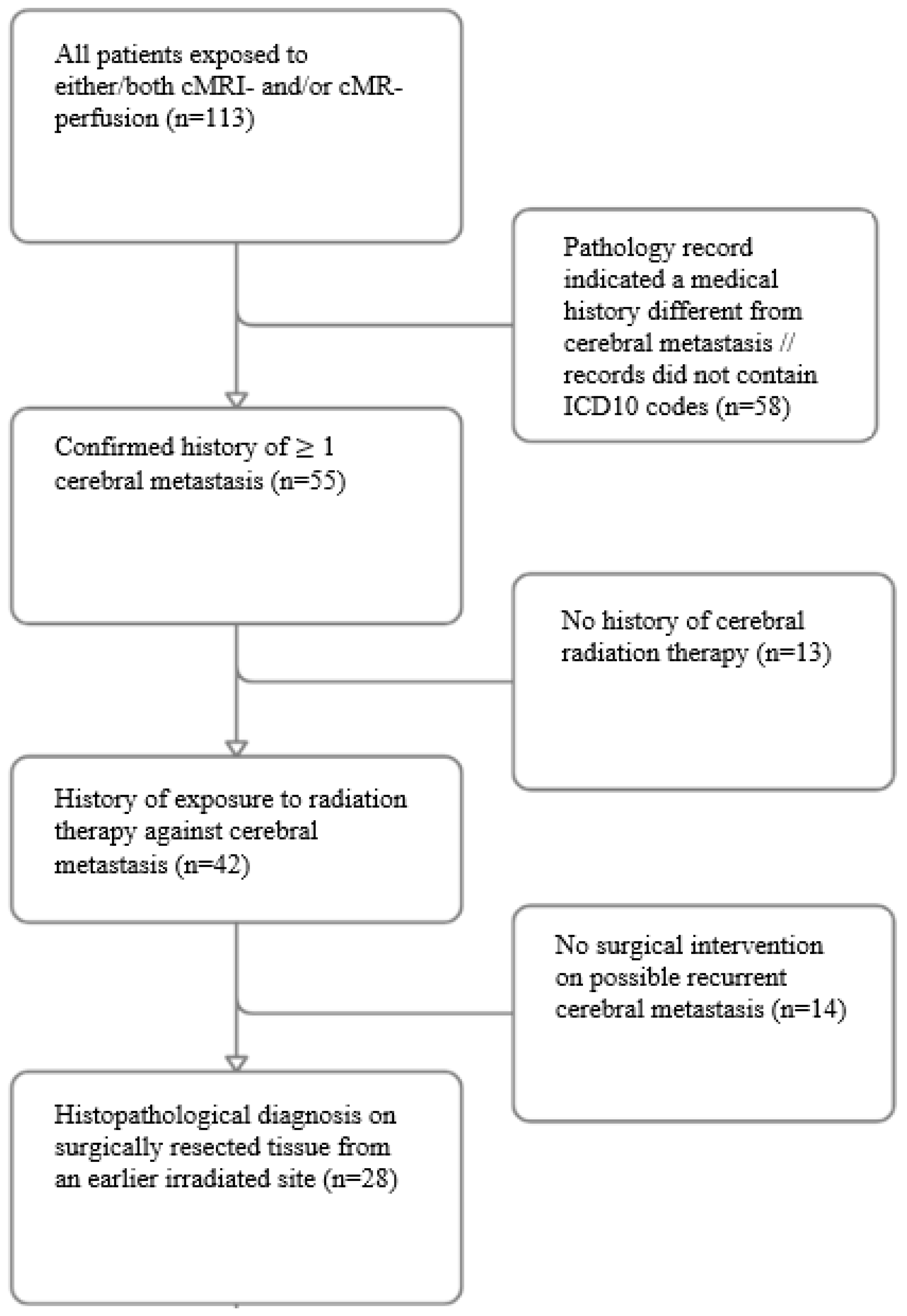 Brainsci 14 00321 g001